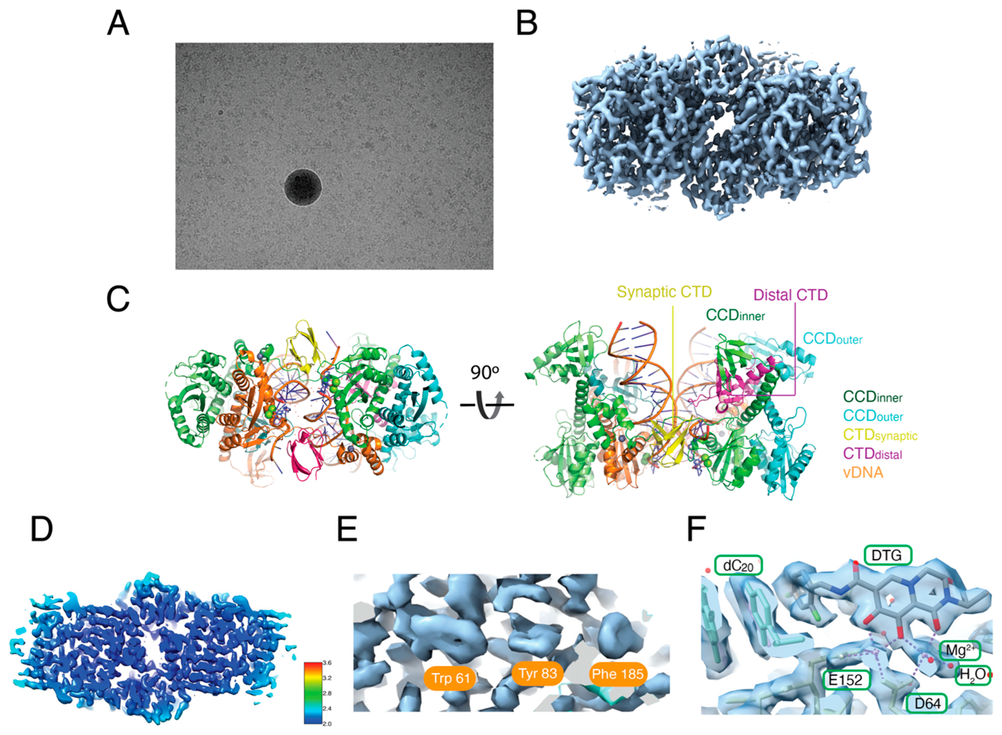 Viruses 16 01166 g004