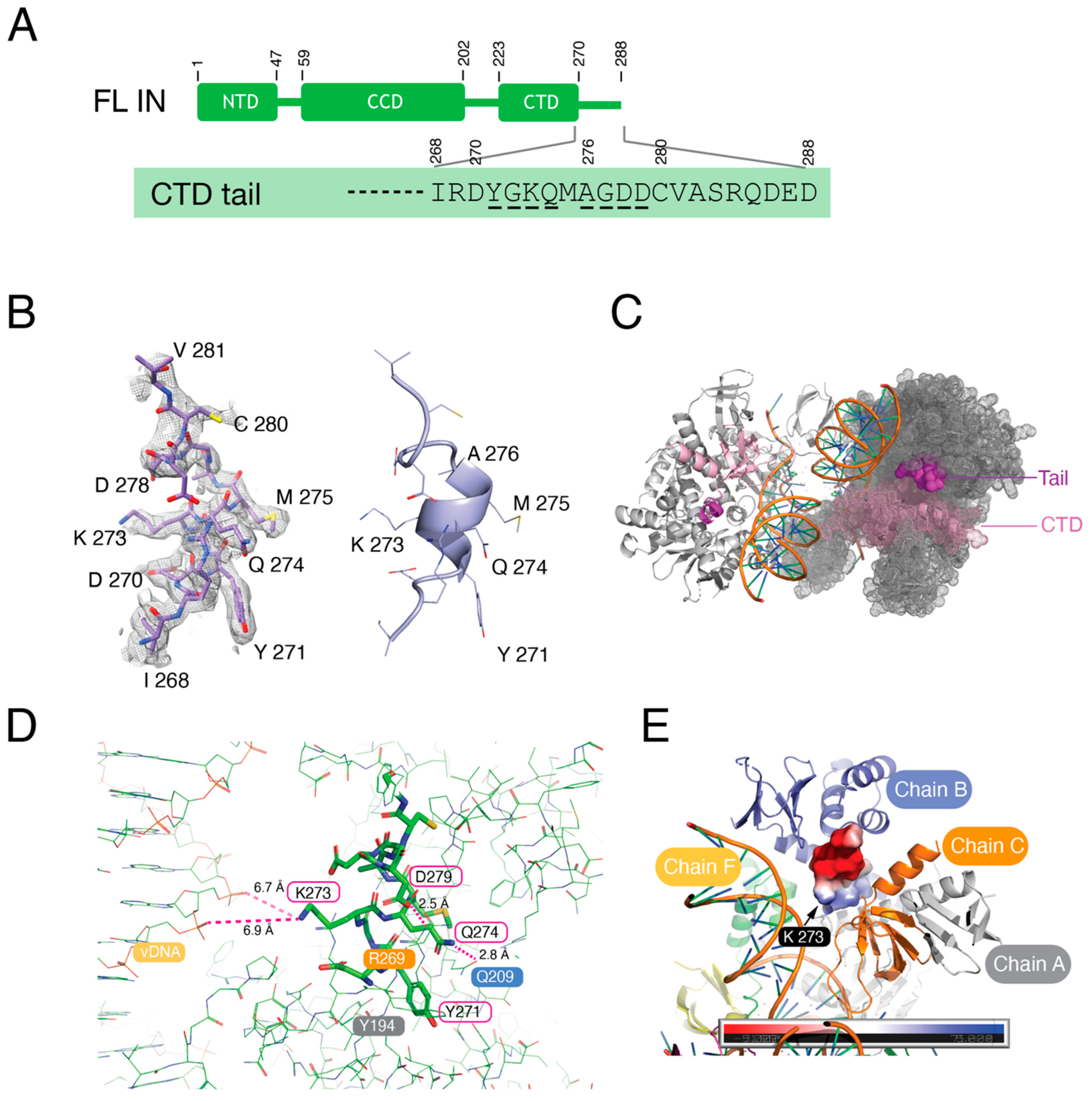 Viruses 16 01166 g005