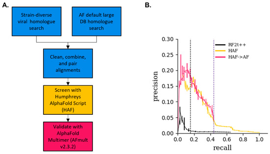 Viruses 16 01170 g001