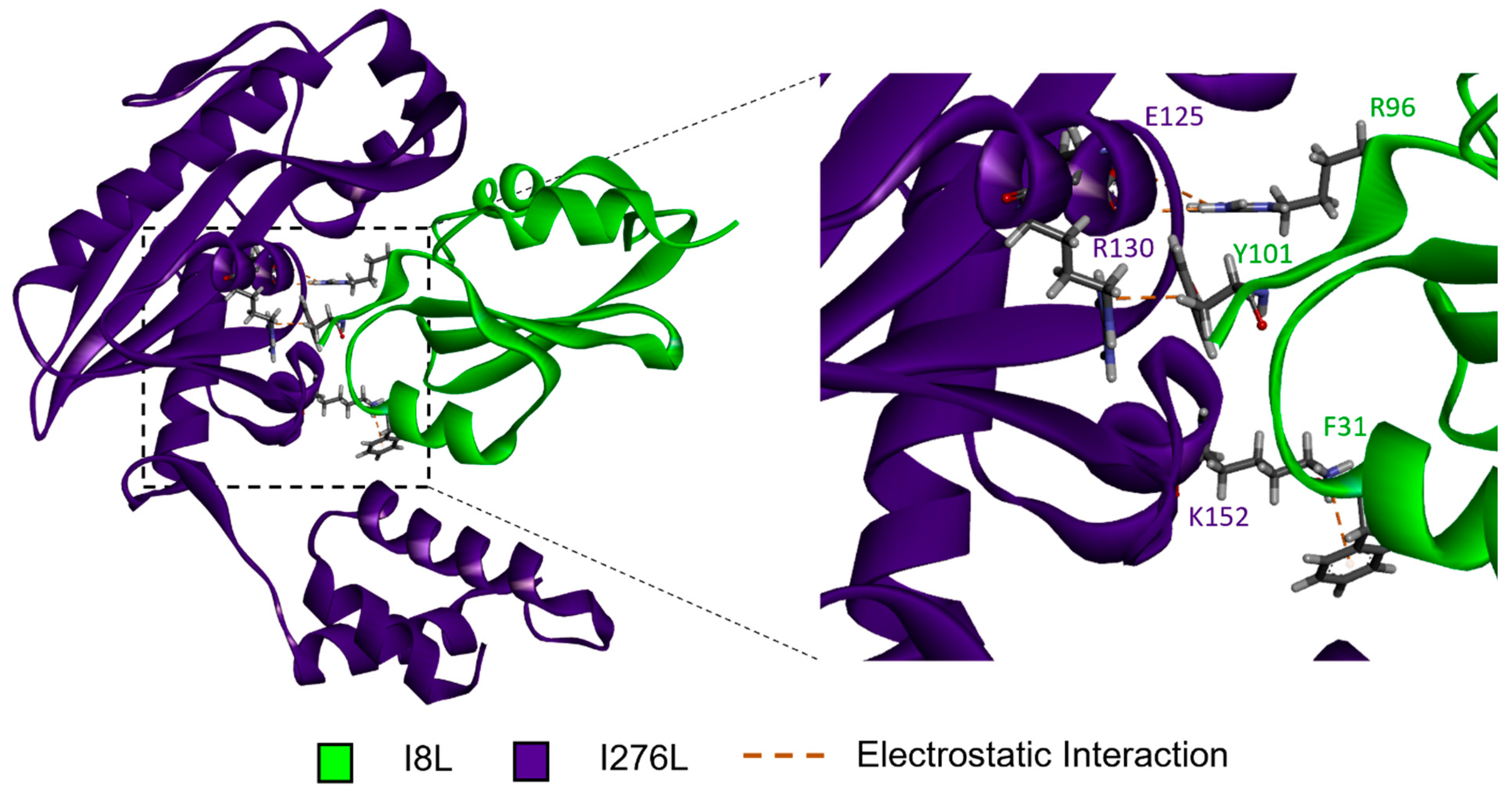 Viruses 16 01170 g002