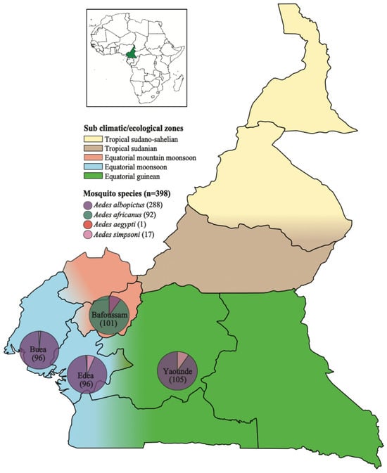 Viruses 16 01172 g001