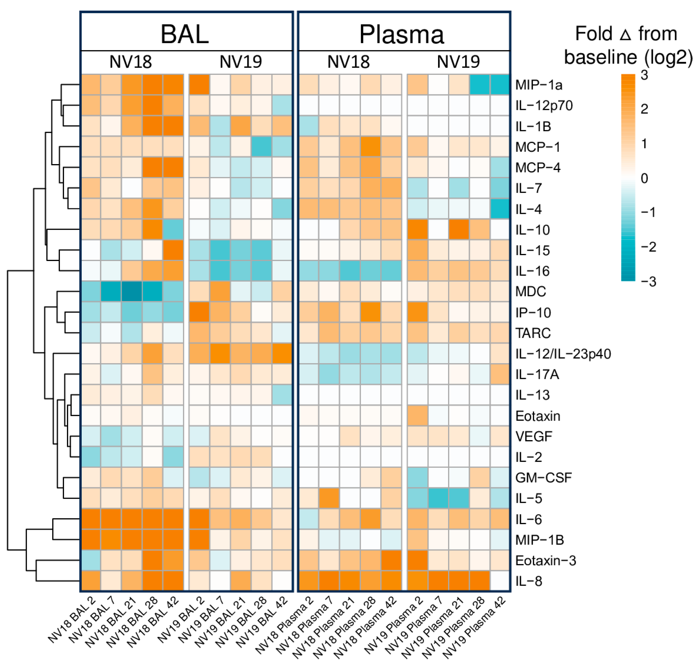 Viruses 16 01173 g003
