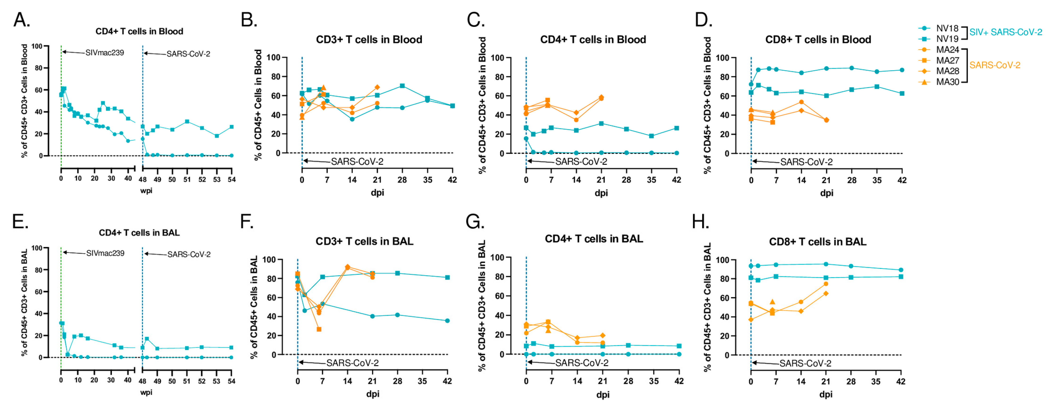 Viruses 16 01173 g005