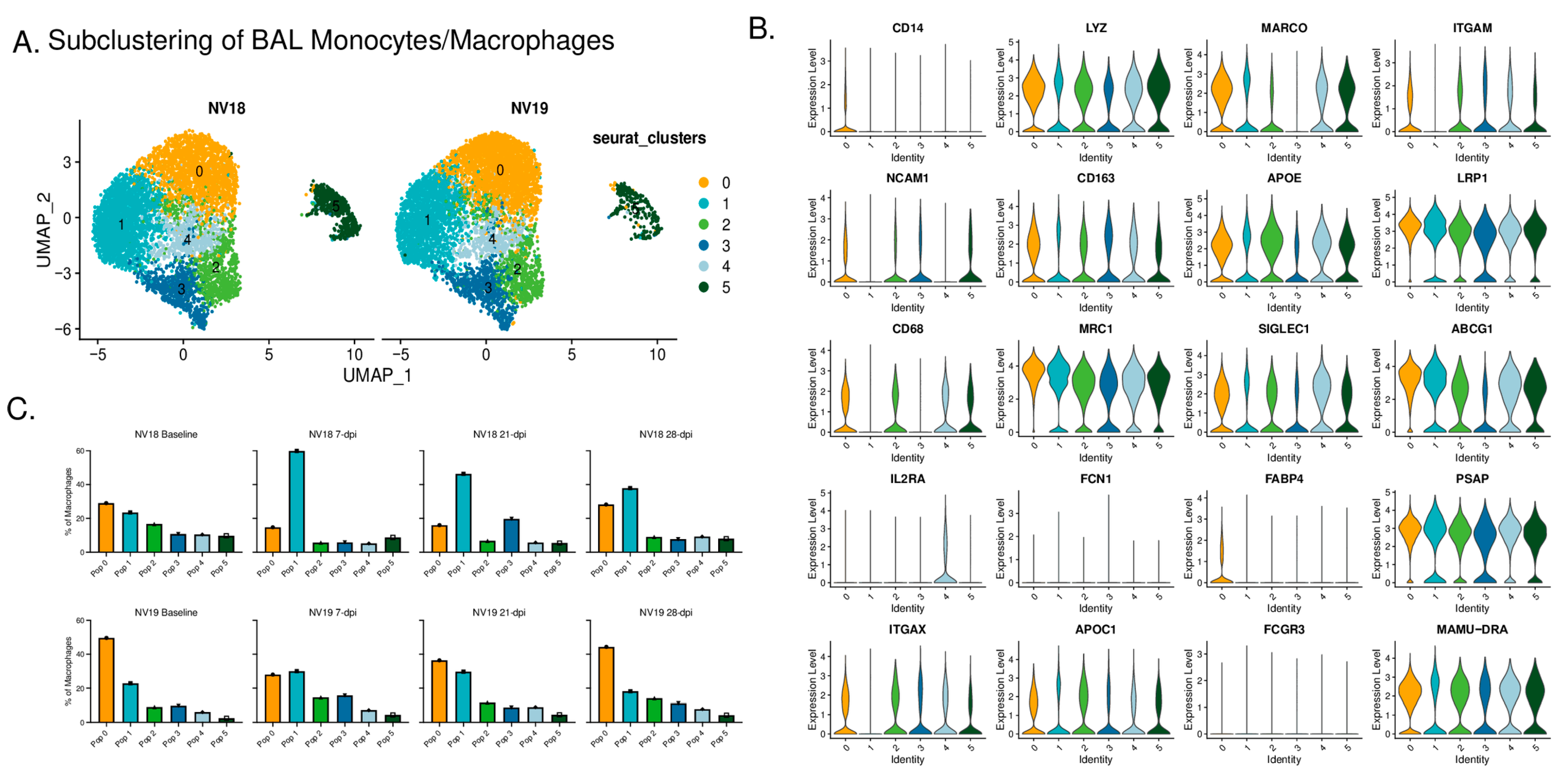 Viruses 16 01173 g009