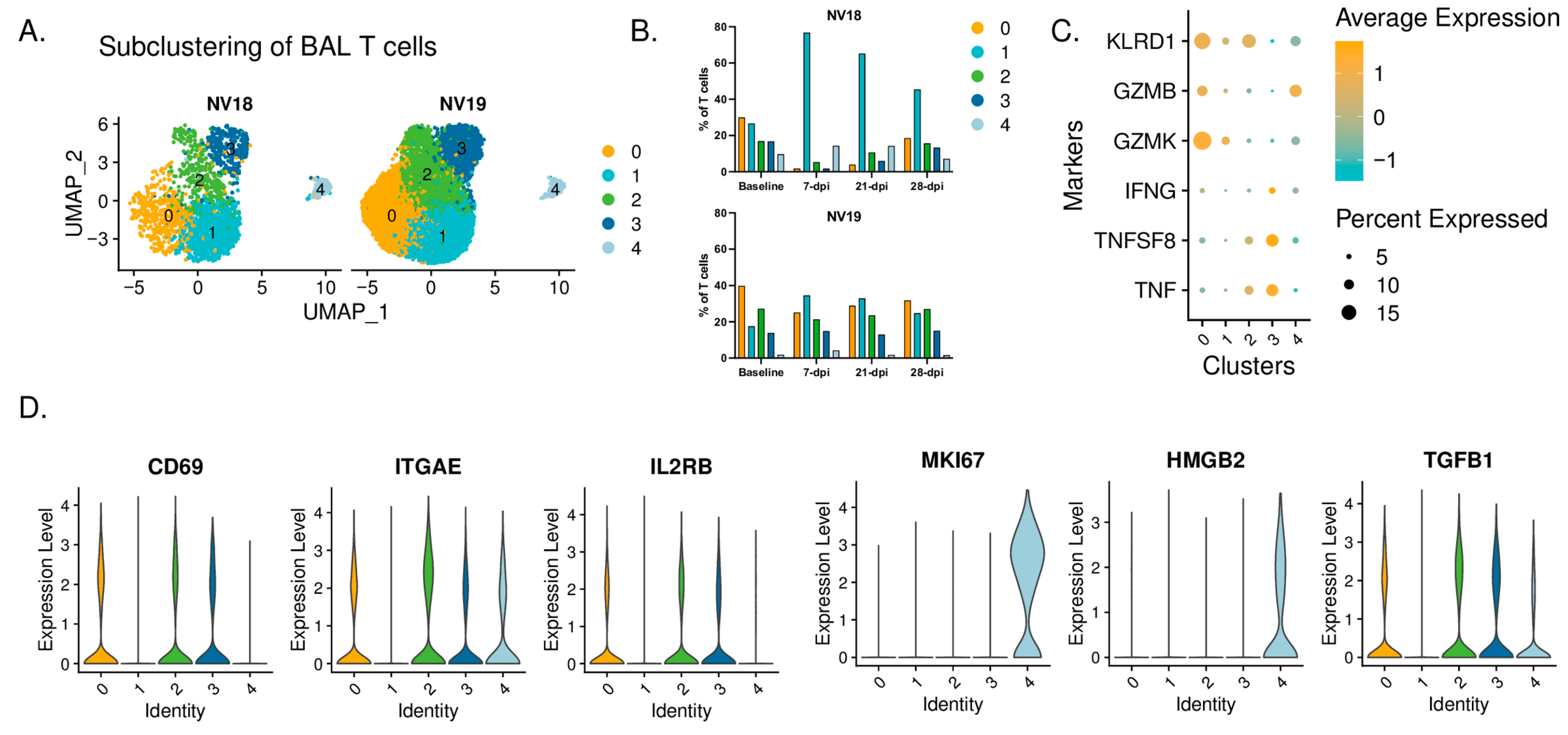 Viruses 16 01173 g010