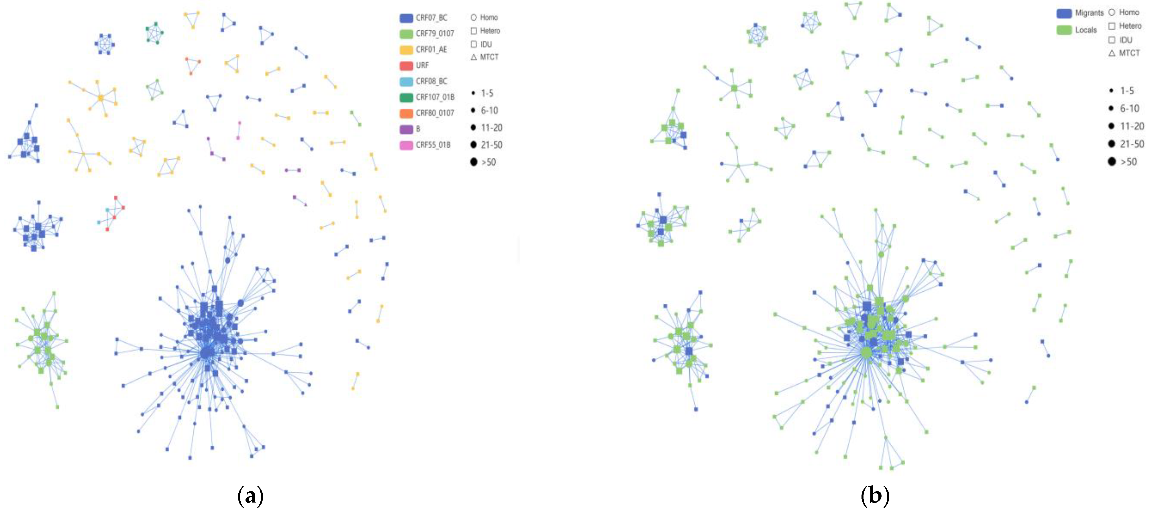 Viruses 16 01174 g004