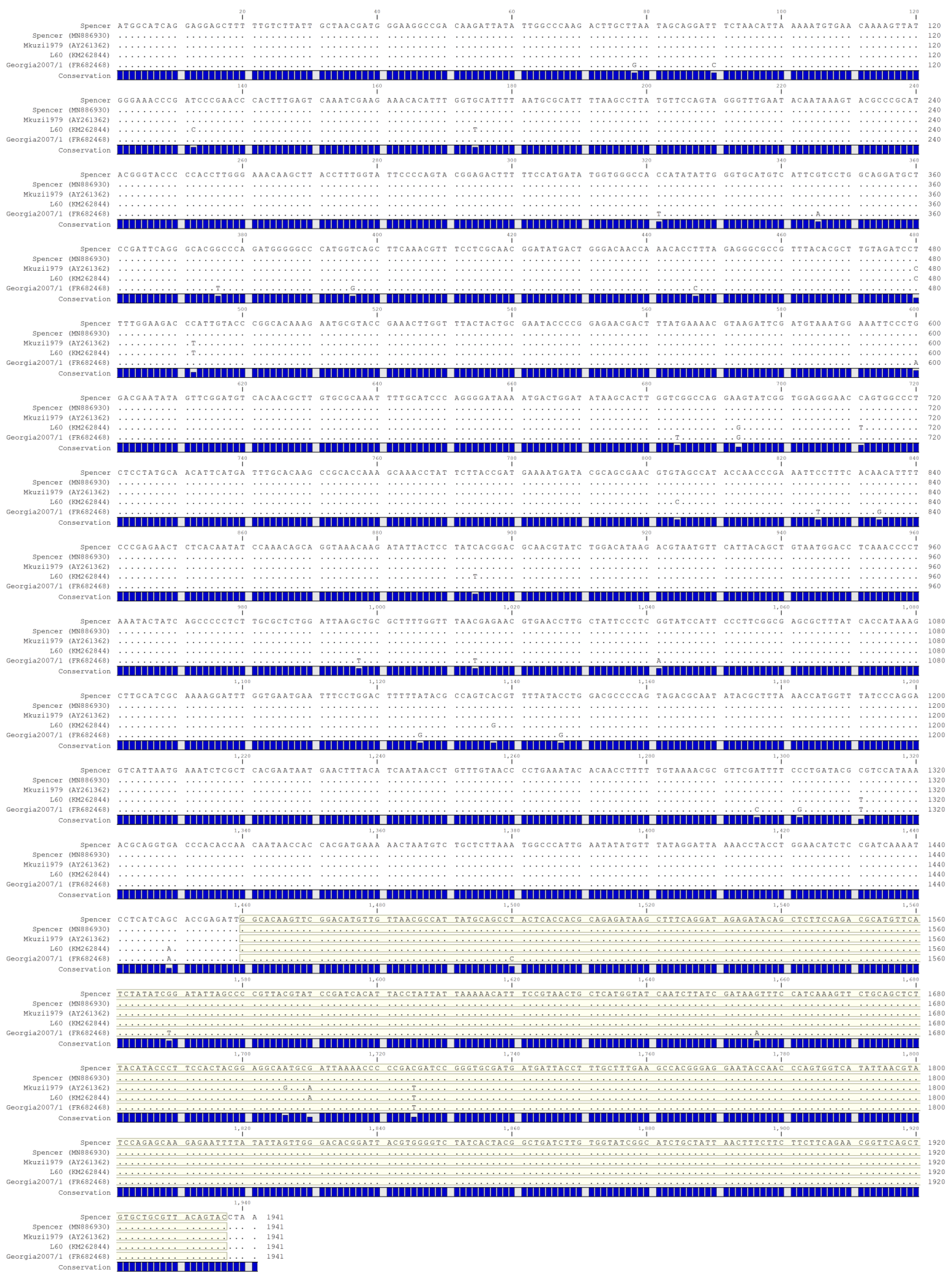 Viruses 16 01175 g001