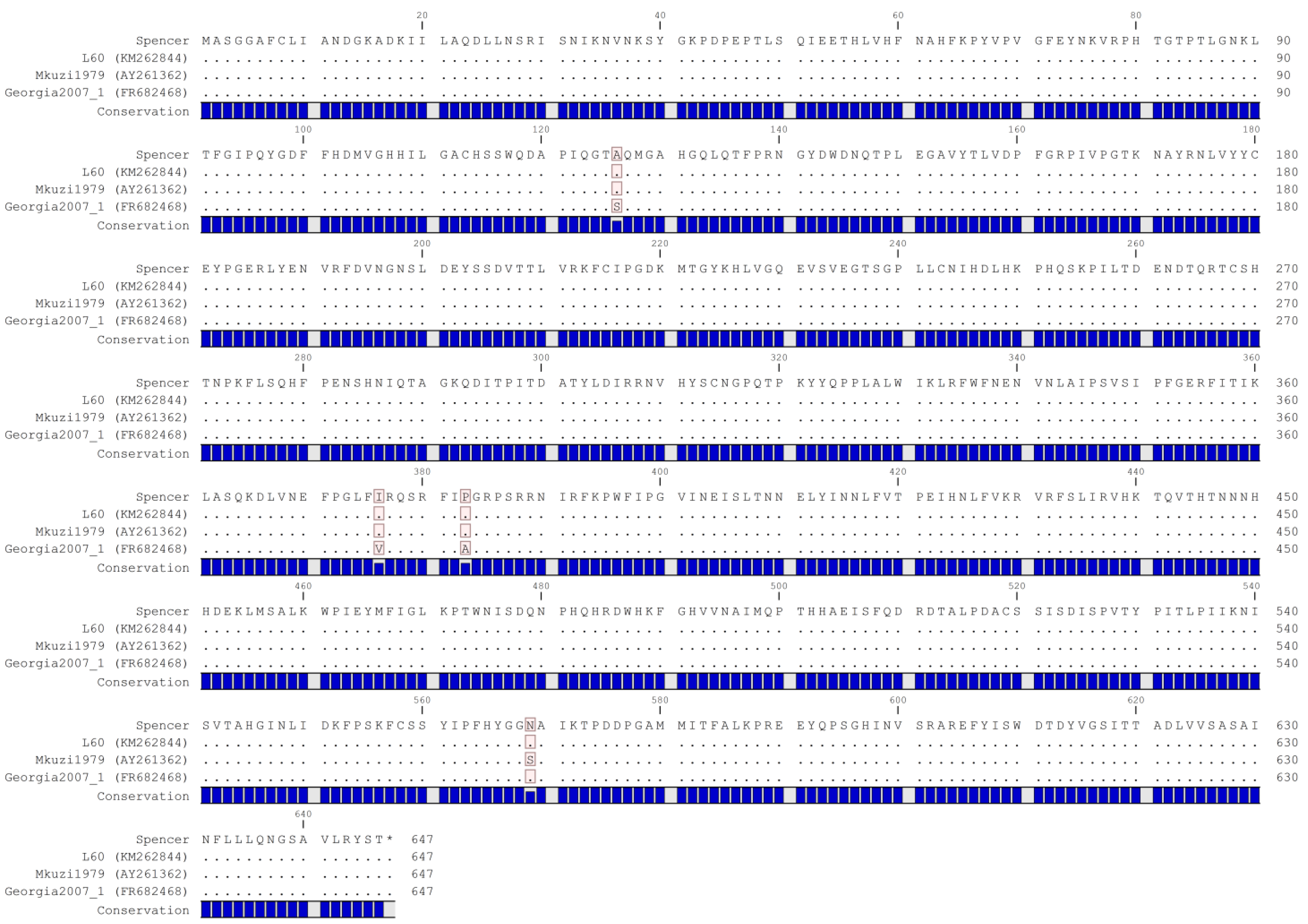 Viruses 16 01175 g002