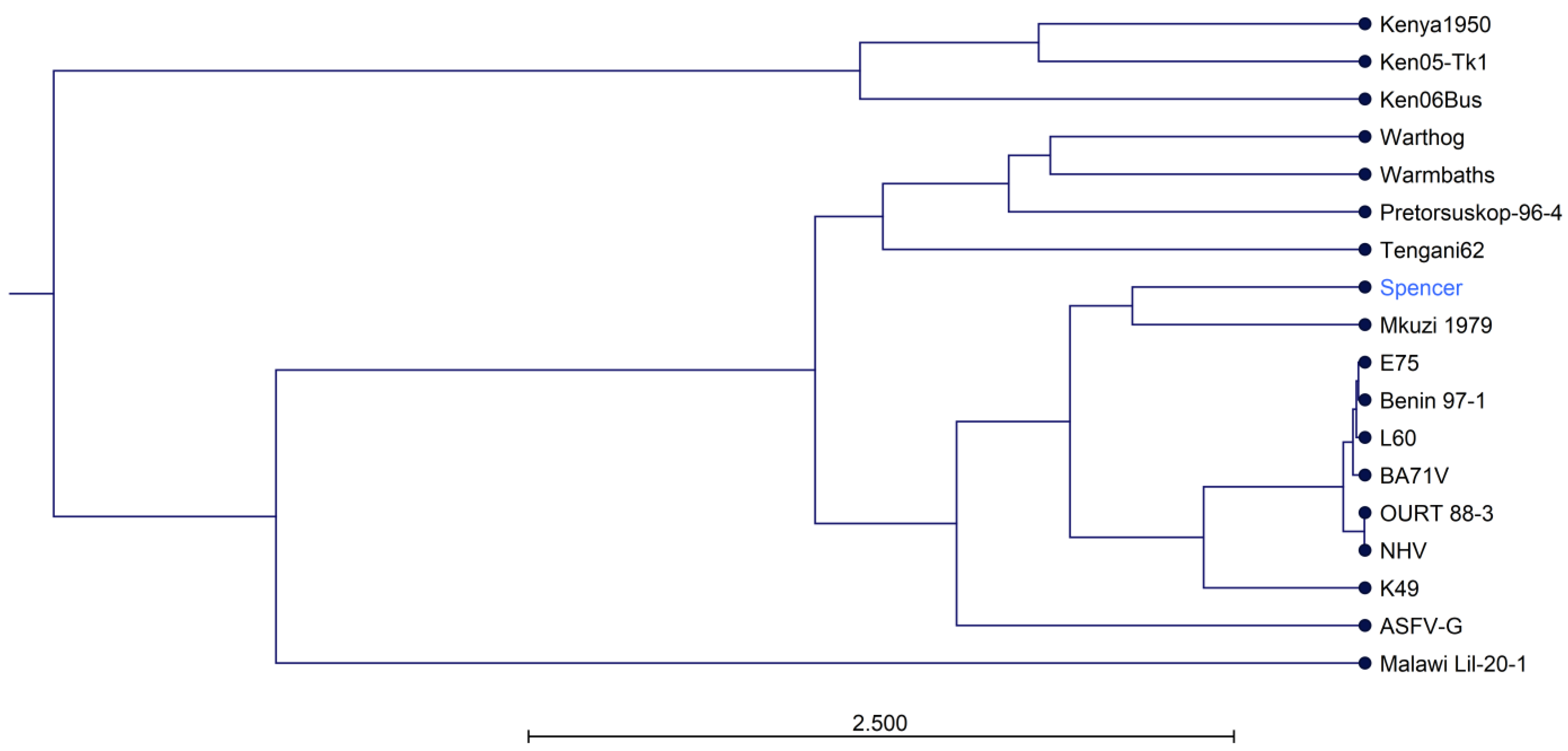 Viruses 16 01175 g003