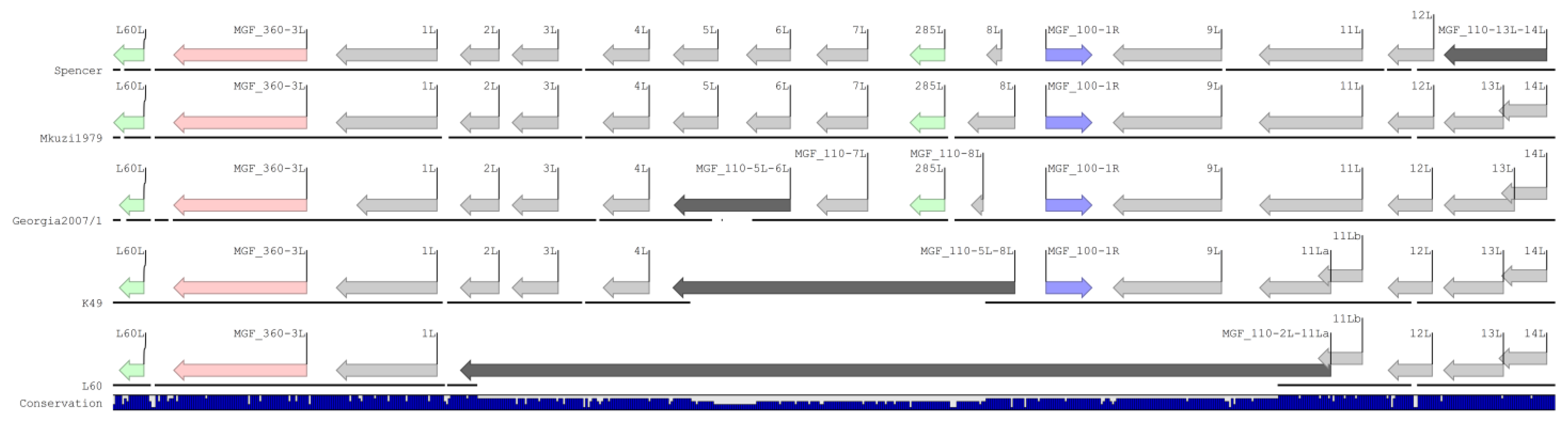 Viruses 16 01175 g004