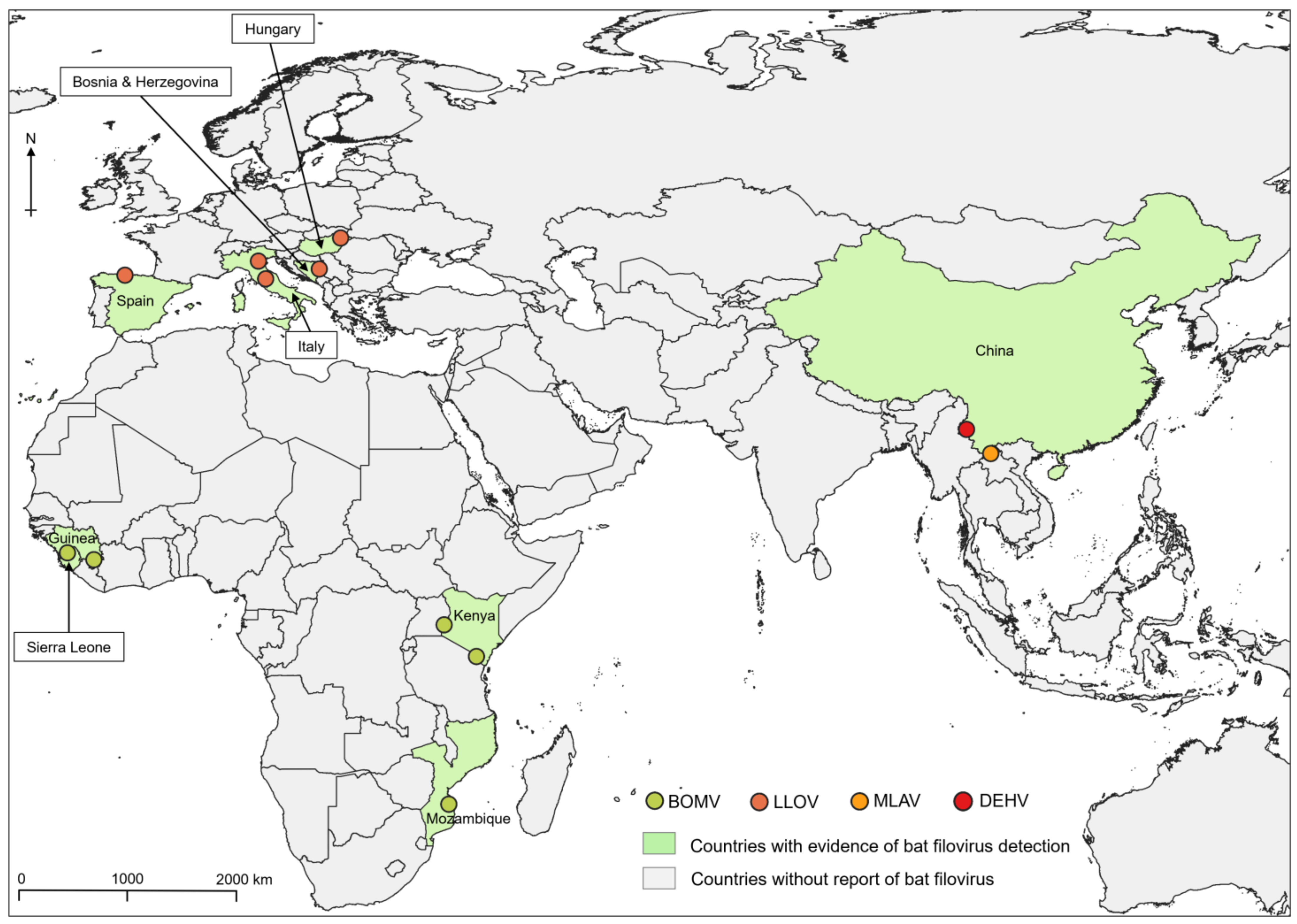 Viruses 16 01179 g001 Viruses 16 01179 g001