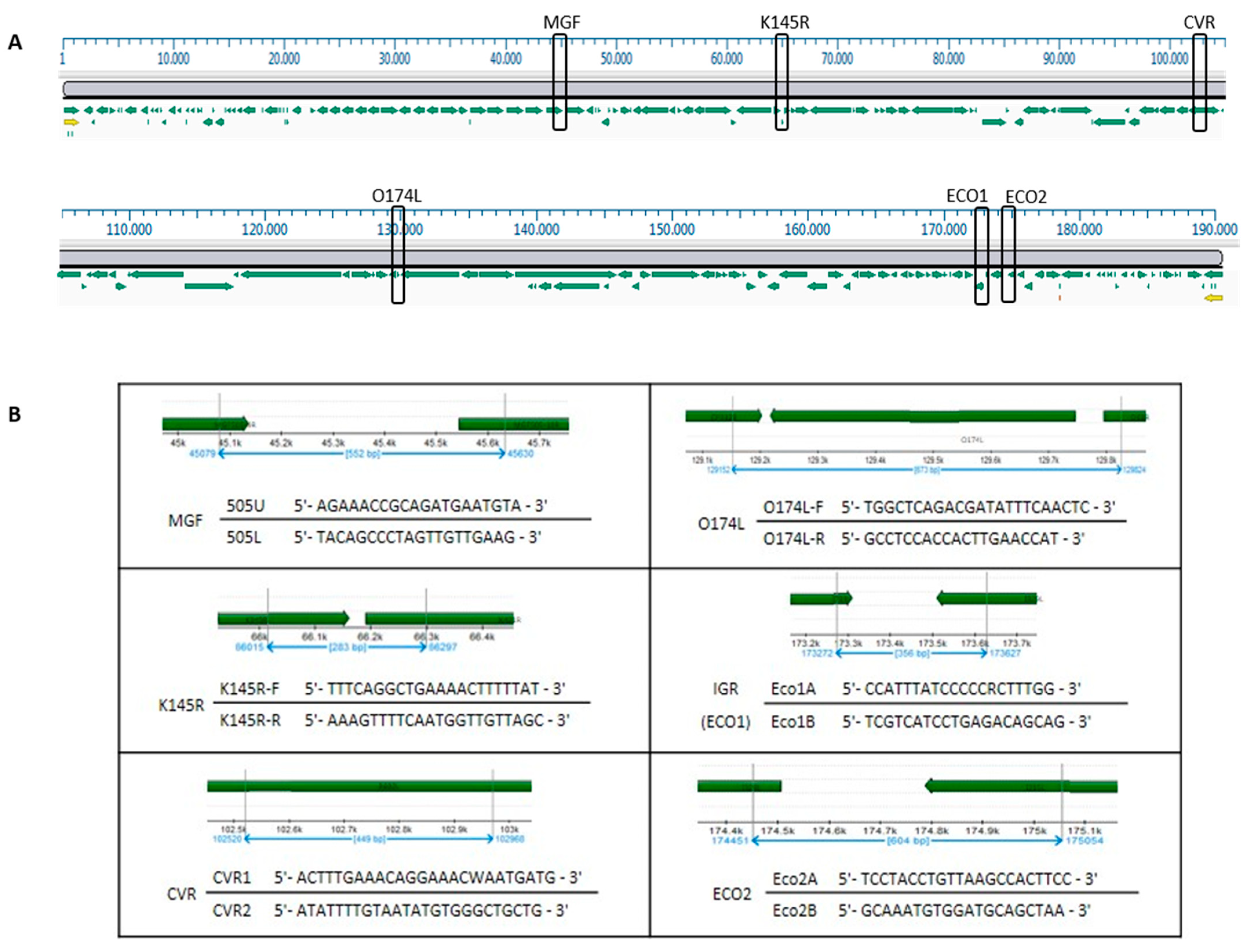 Viruses 16 01185 g002