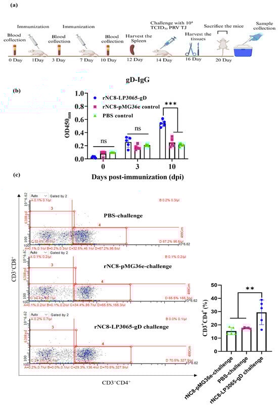 Viruses 16 01189 g004
