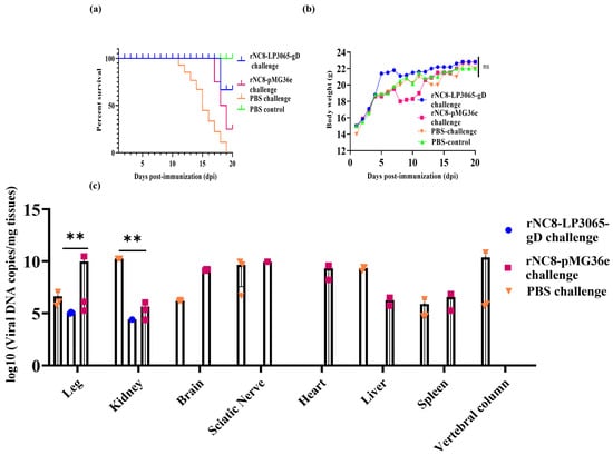Viruses 16 01189 g005