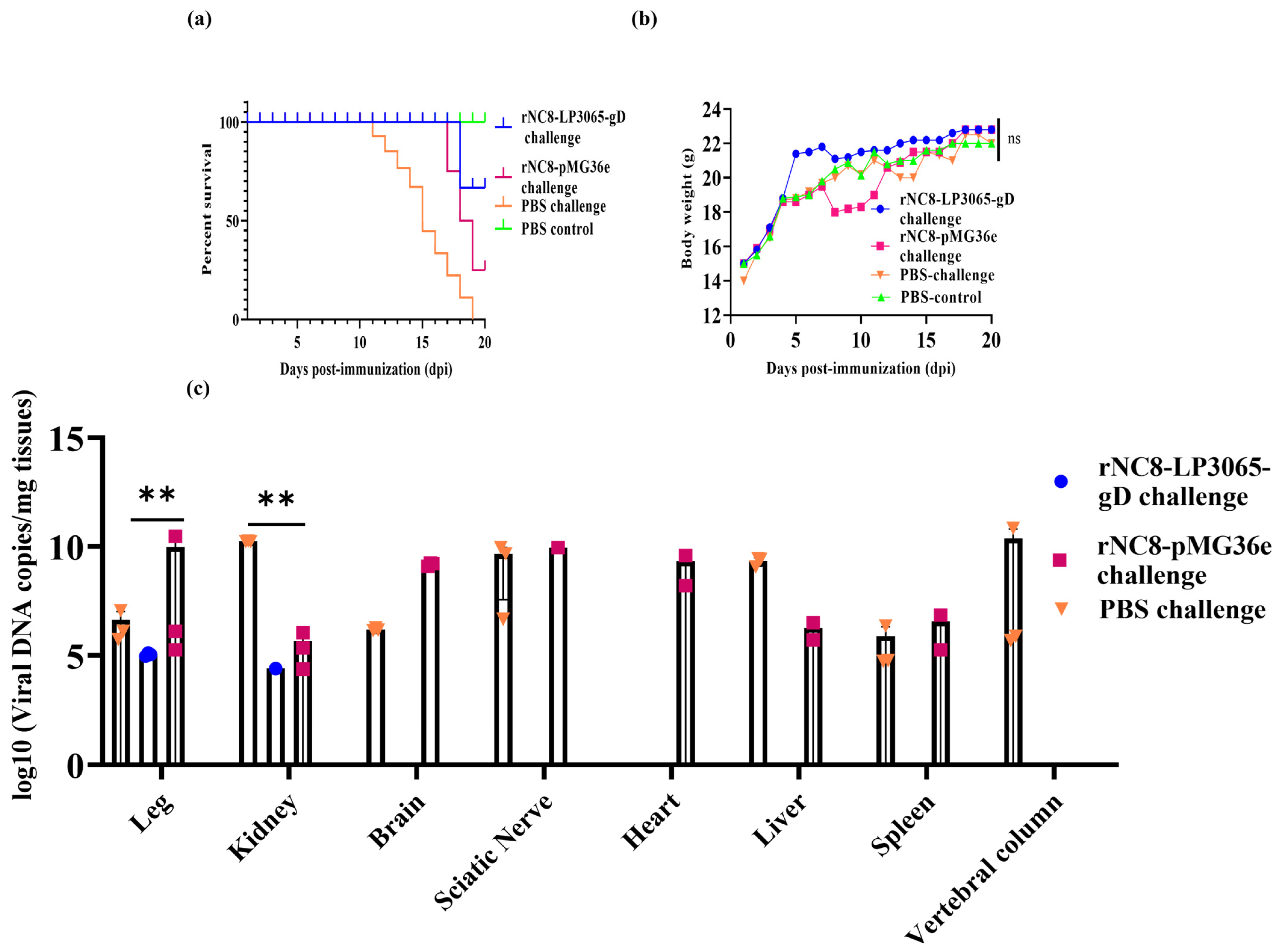Viruses 16 01189 g005