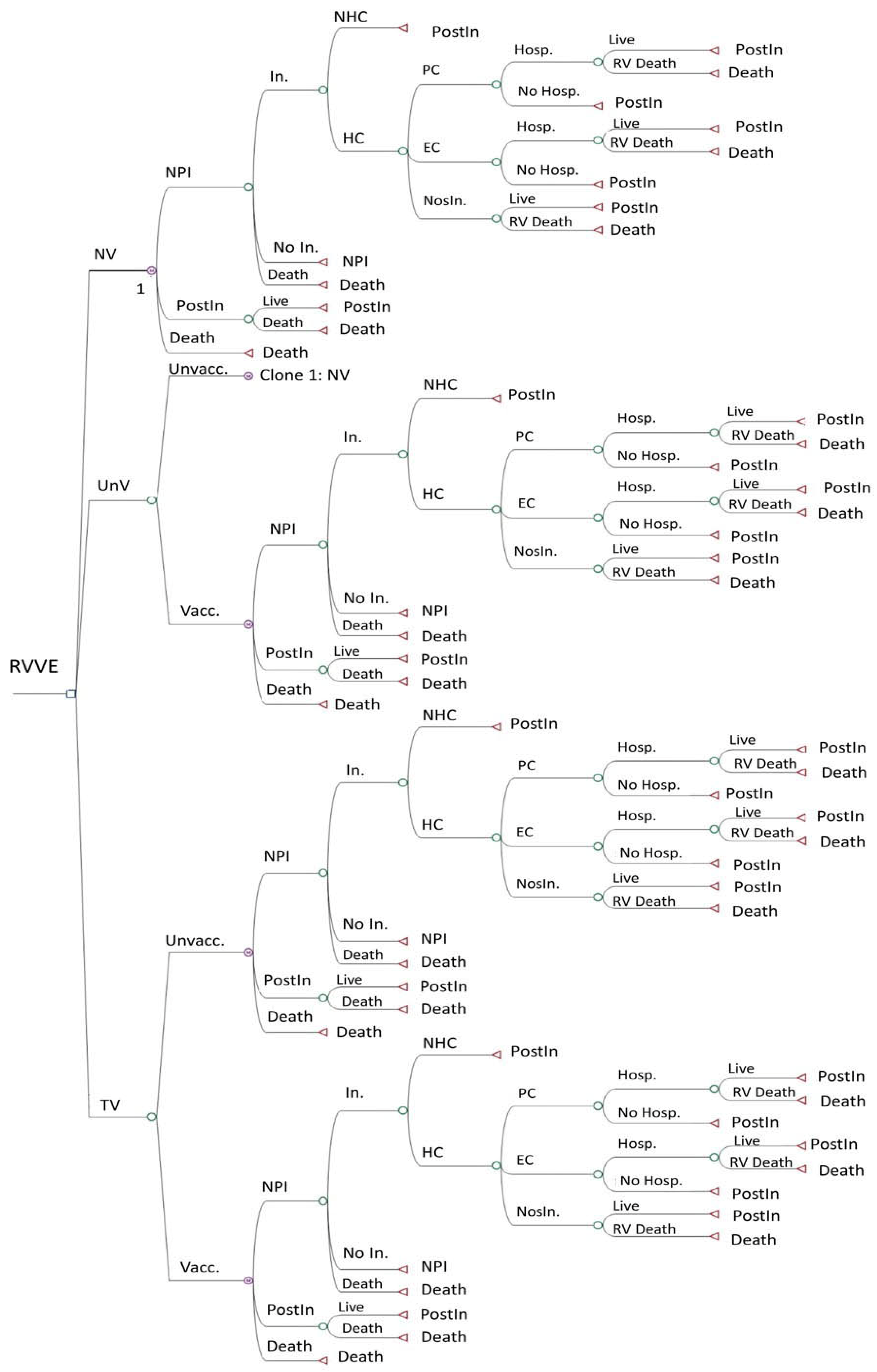 Viruses 16 01194 g001