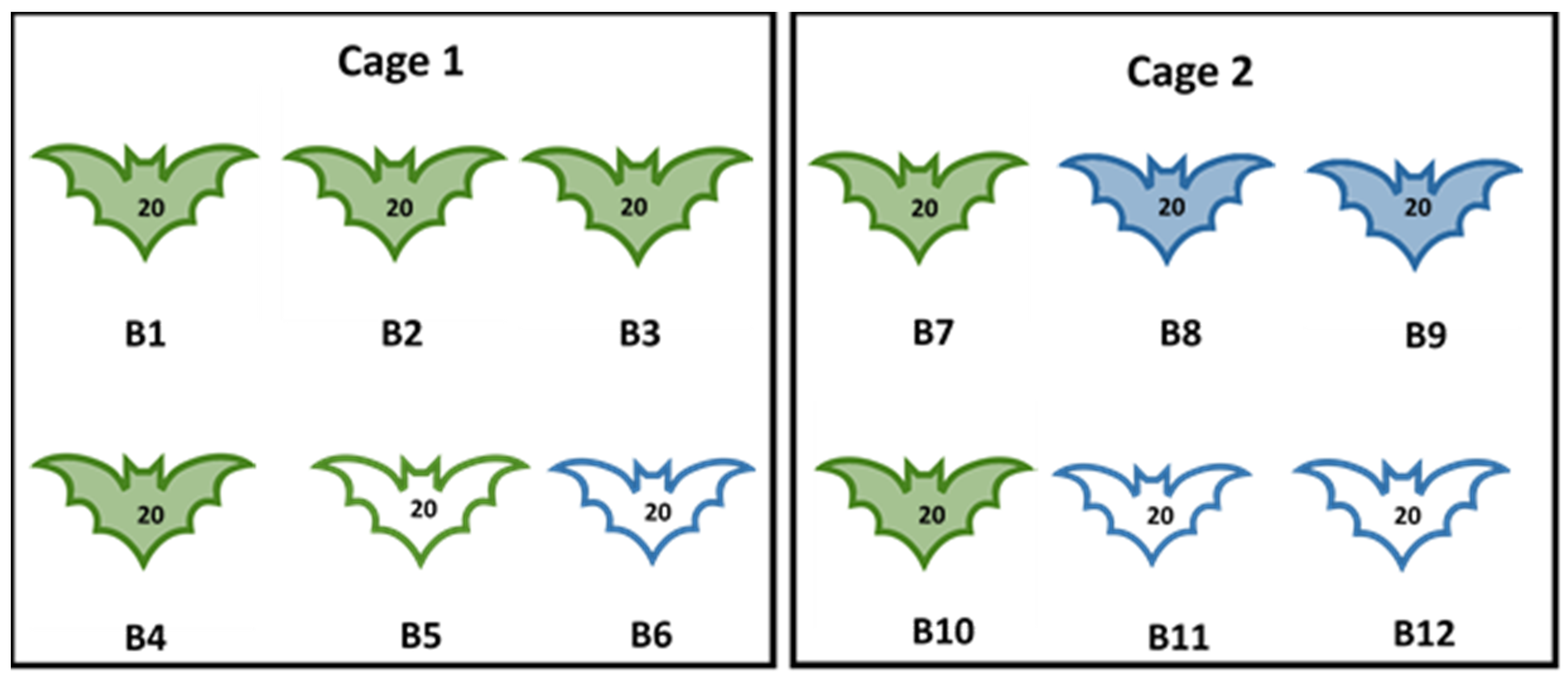 Viruses 16 01197 g001 Viruses 16 01197 g001
