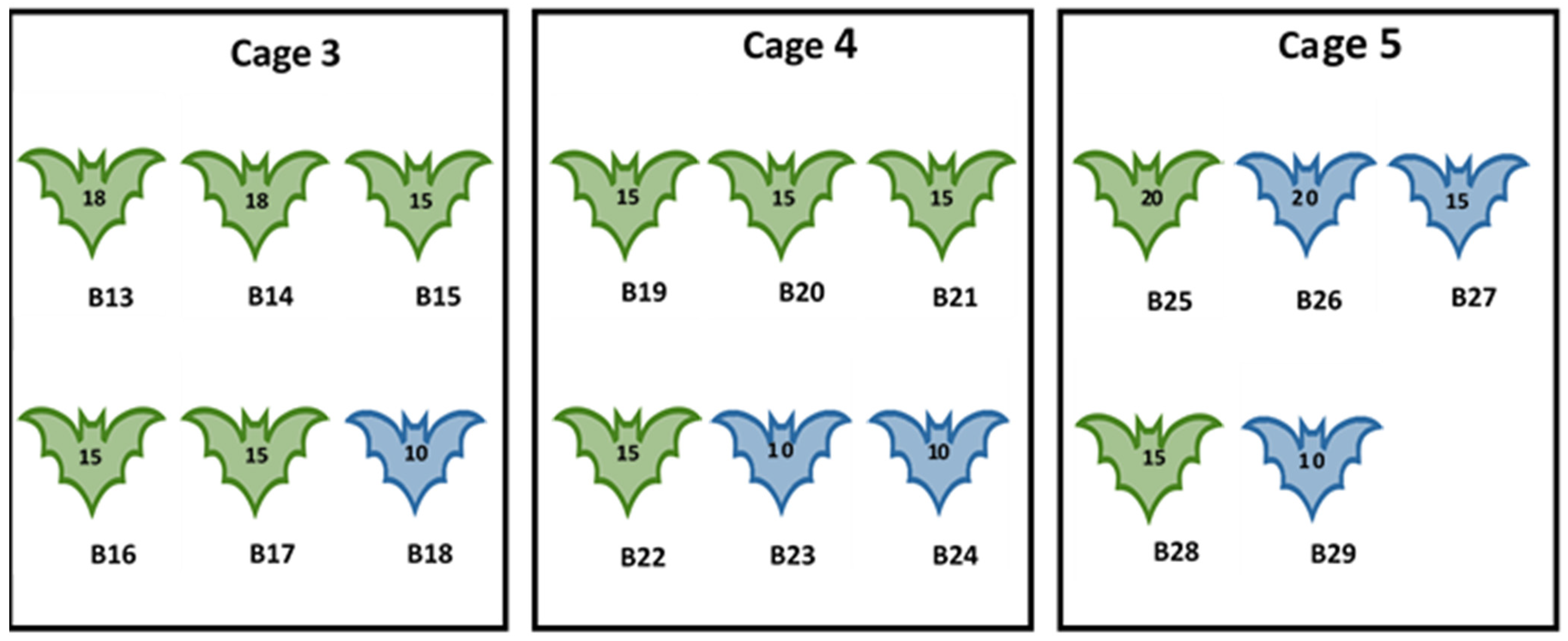 Viruses 16 01197 g002 Viruses 16 01197 g002