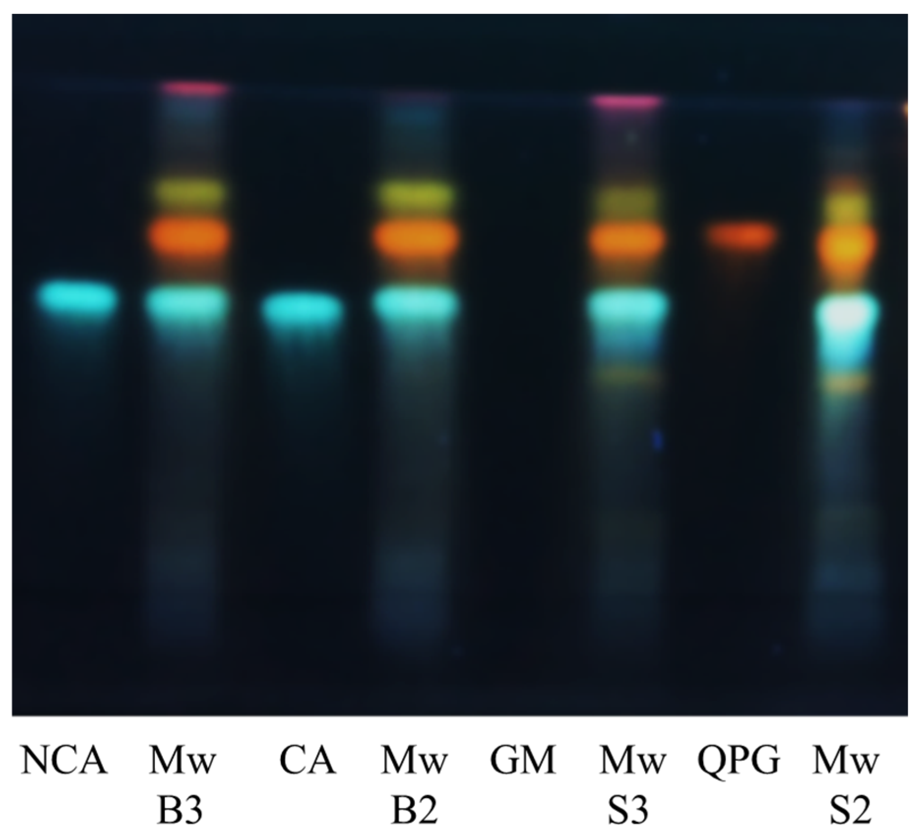 Viruses 16 01199 g007