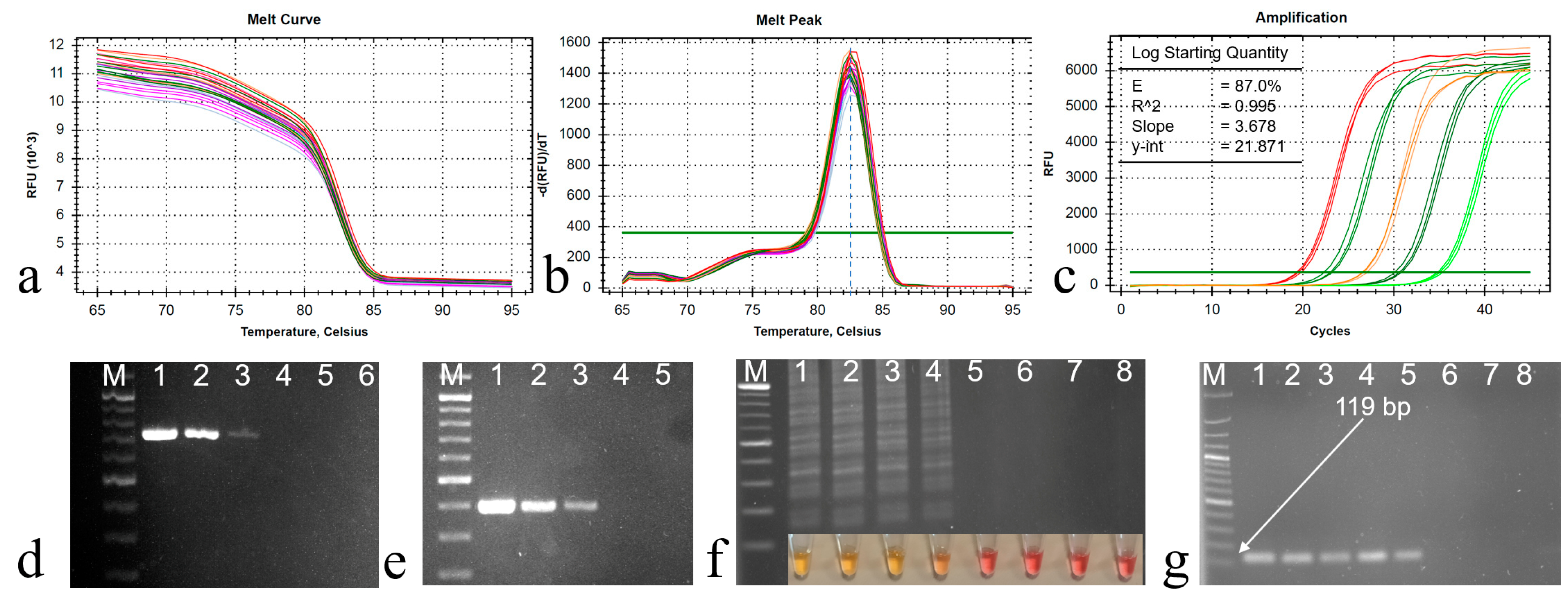 Viruses 16 01203 g003