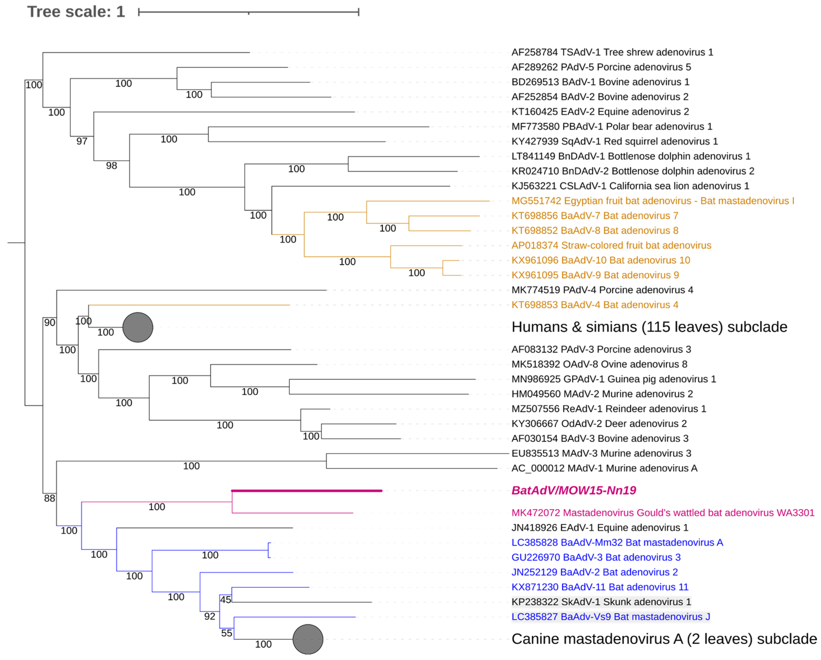 Viruses 16 01207 g002