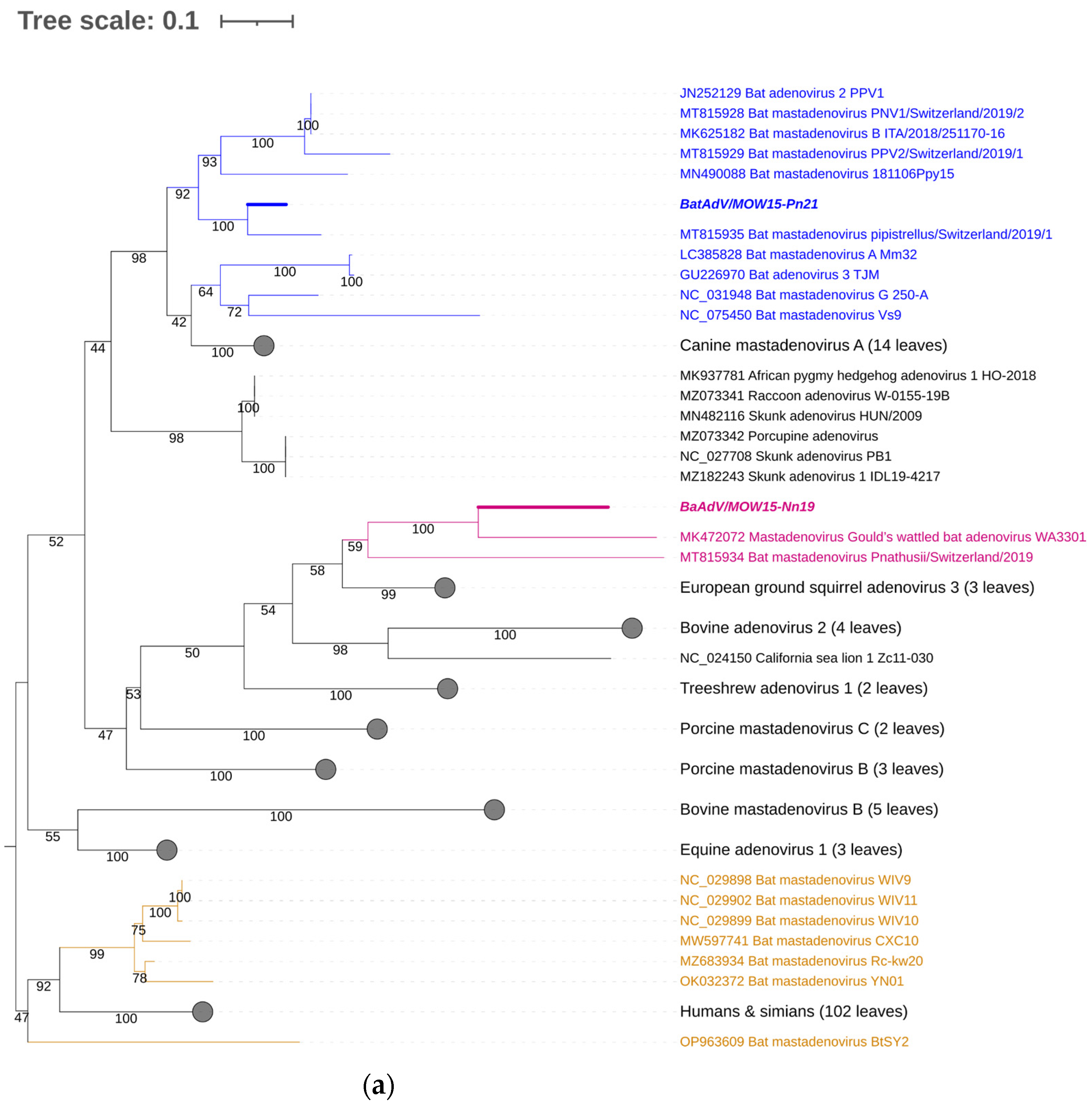 Viruses 16 01207 g003a