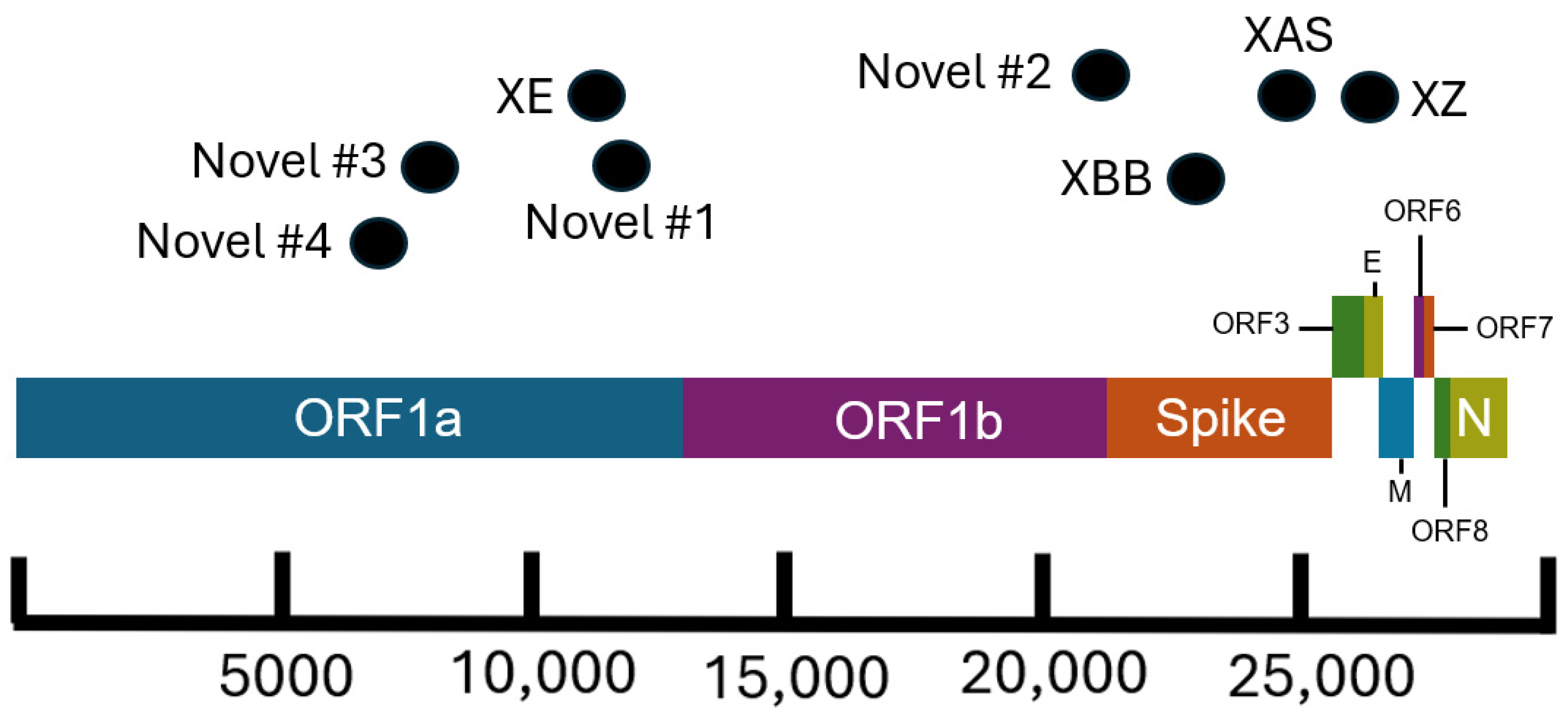 Viruses 16 01209 g003