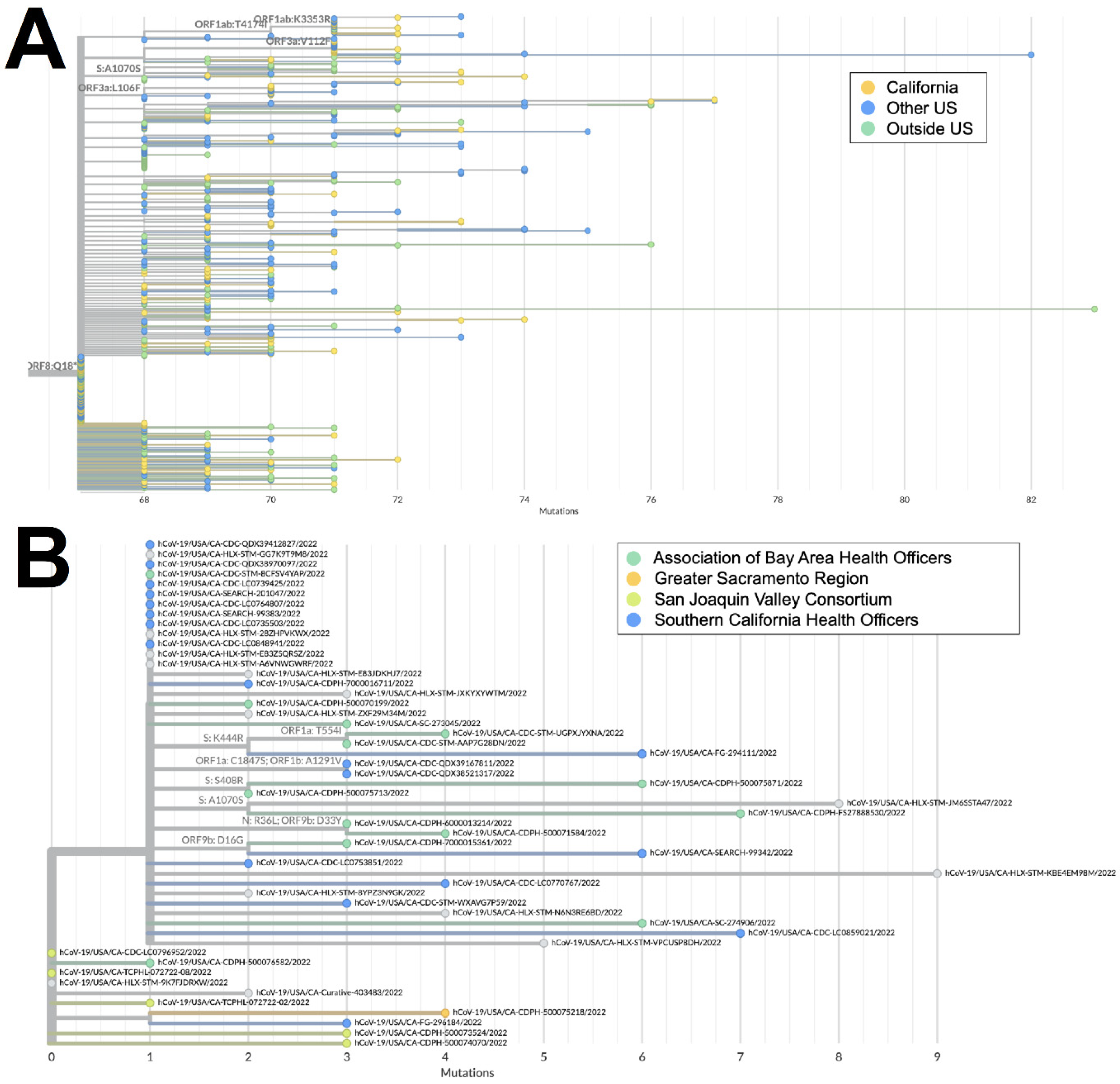 Viruses 16 01209 g005