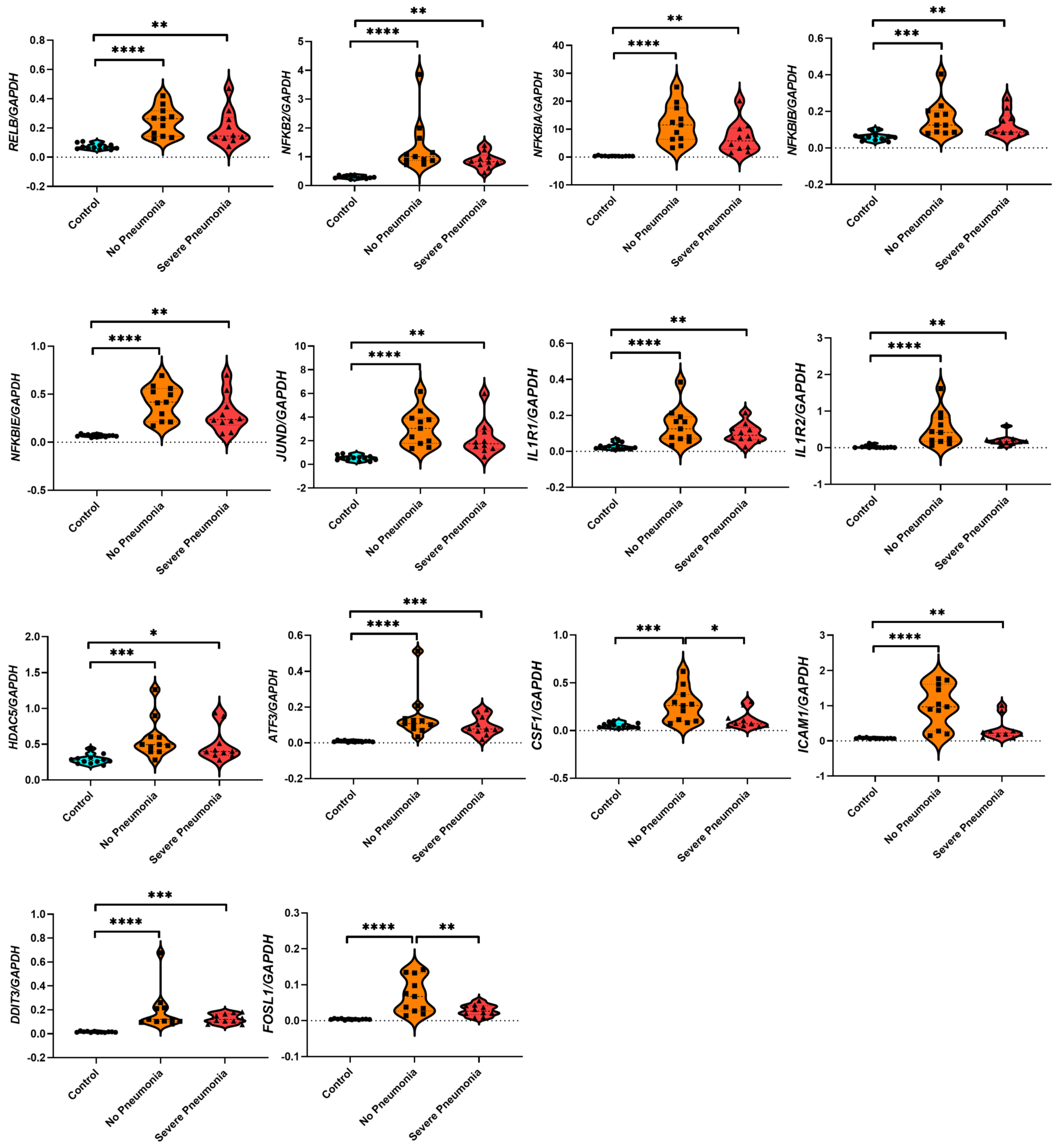 Viruses 16 01211 g005