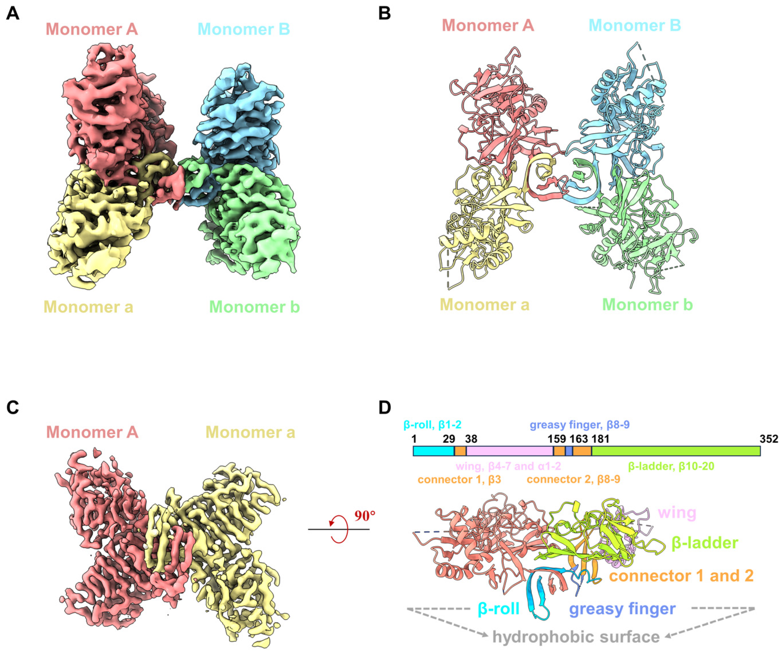 Viruses 16 01212 g001