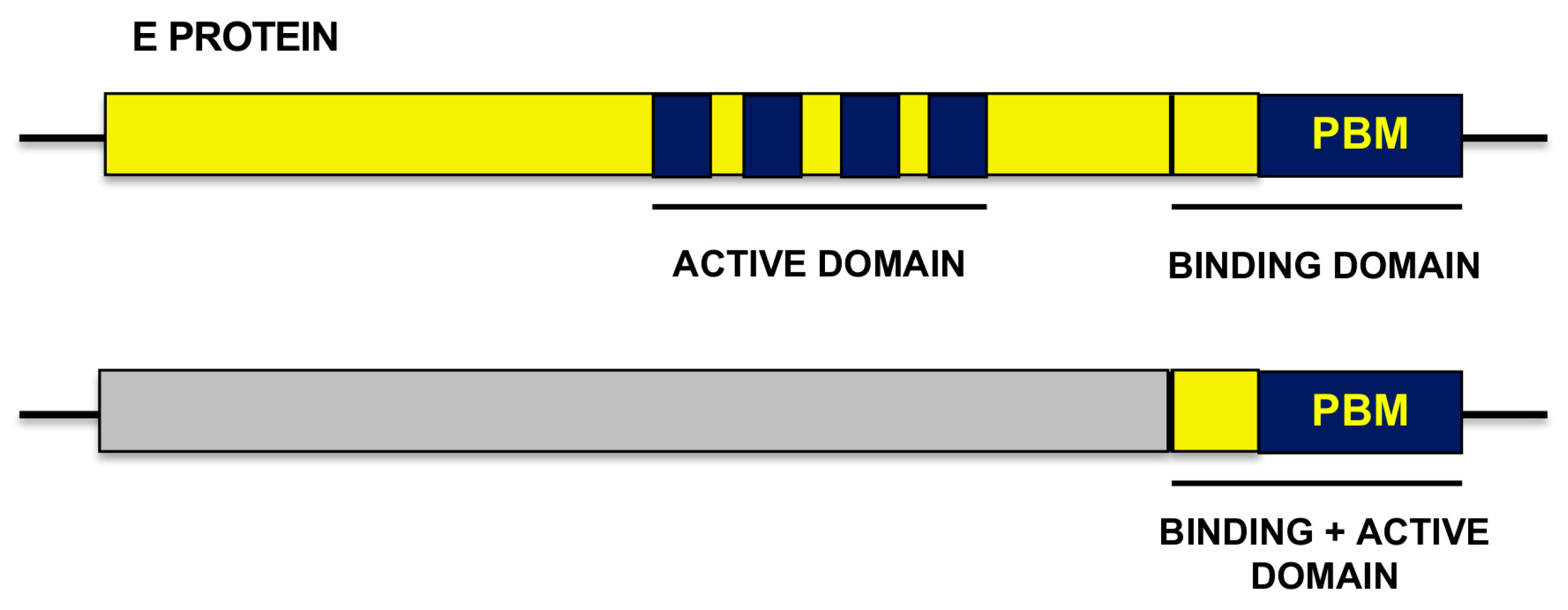 Viruses 16 01214 g002