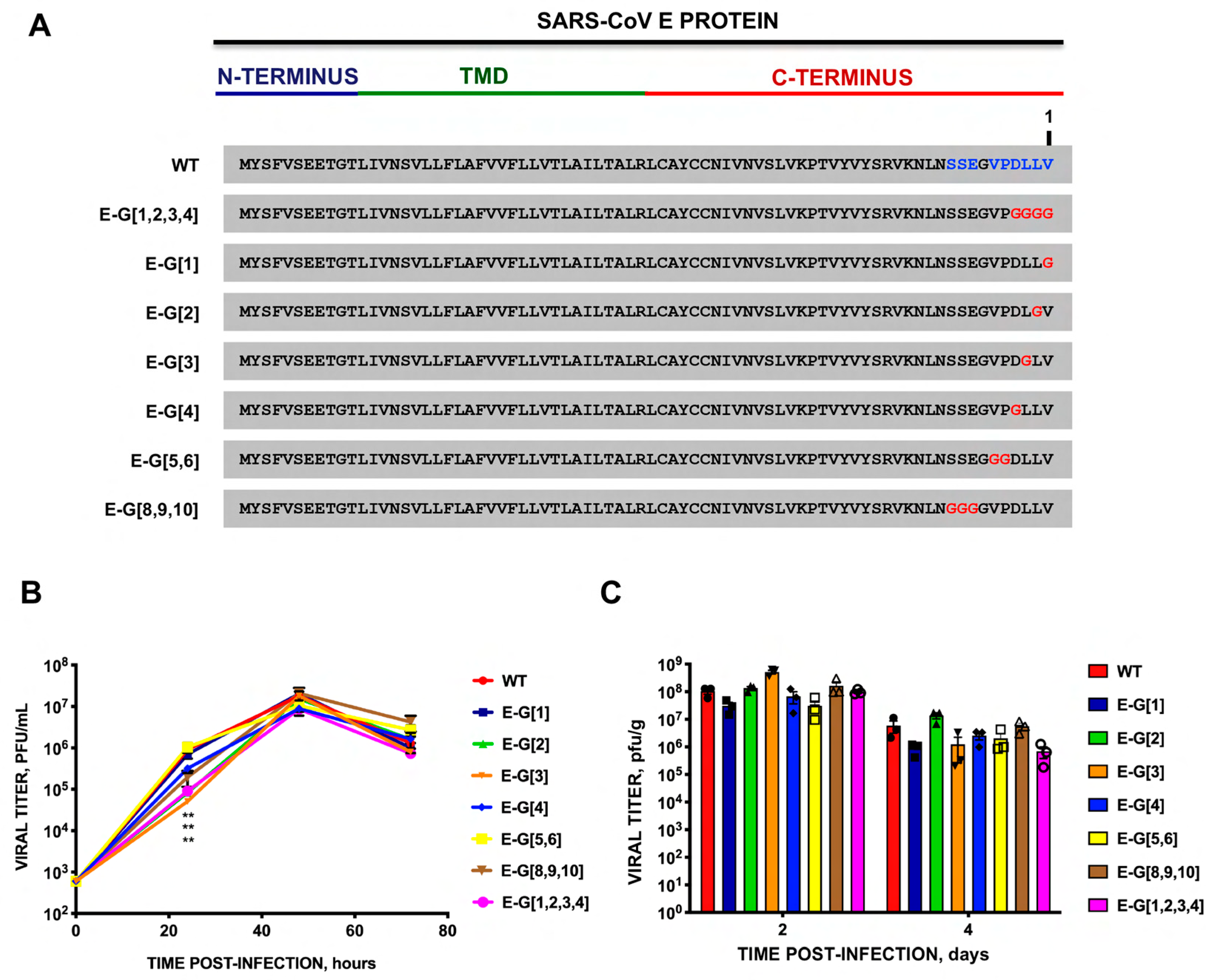 Viruses 16 01214 g005