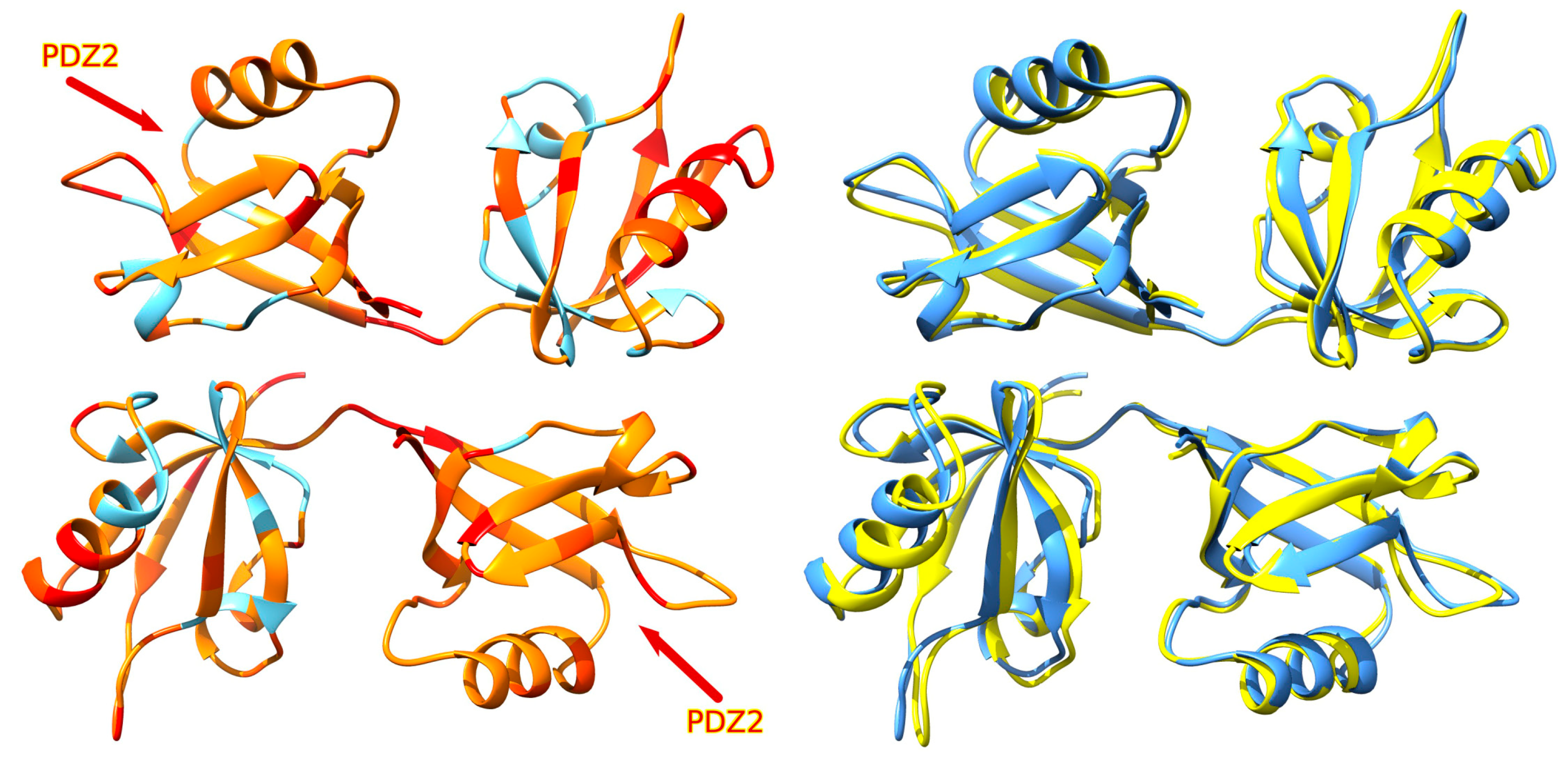 Viruses 16 01214 g007