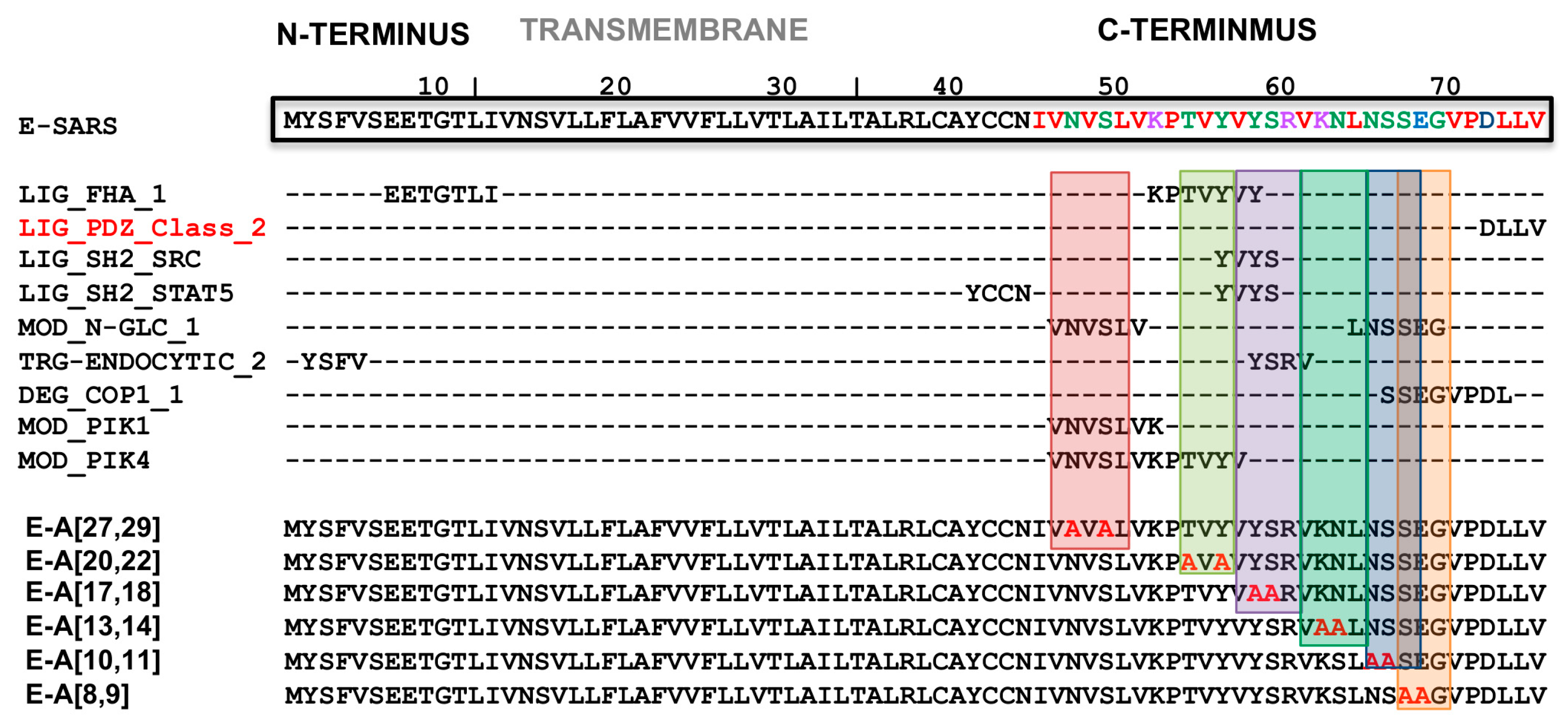 Viruses 16 01214 g009