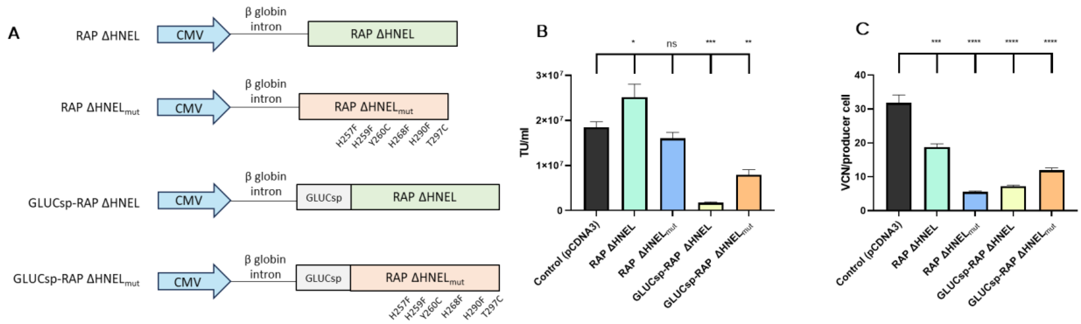 Viruses 16 01216 g004