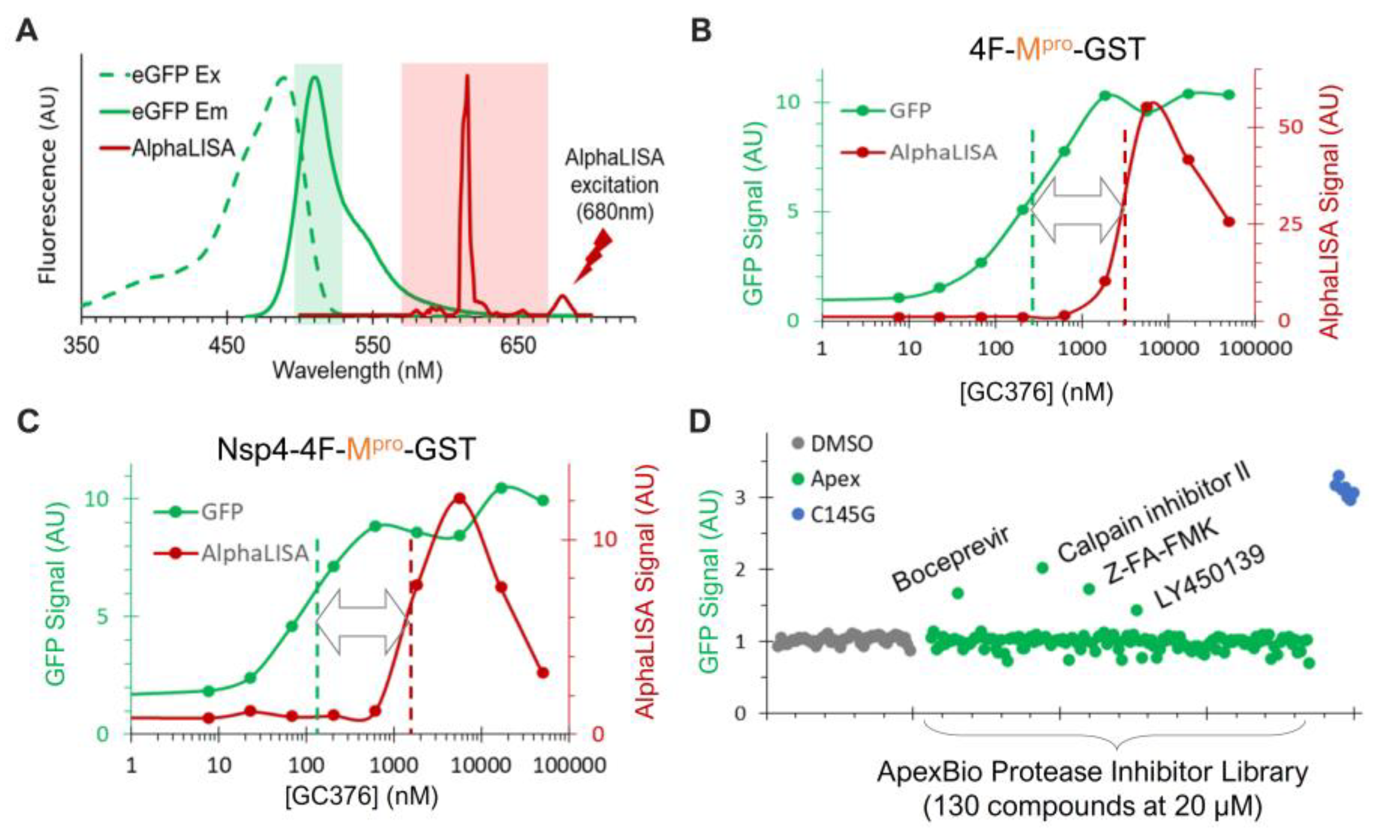 Viruses 16 01218 g006
