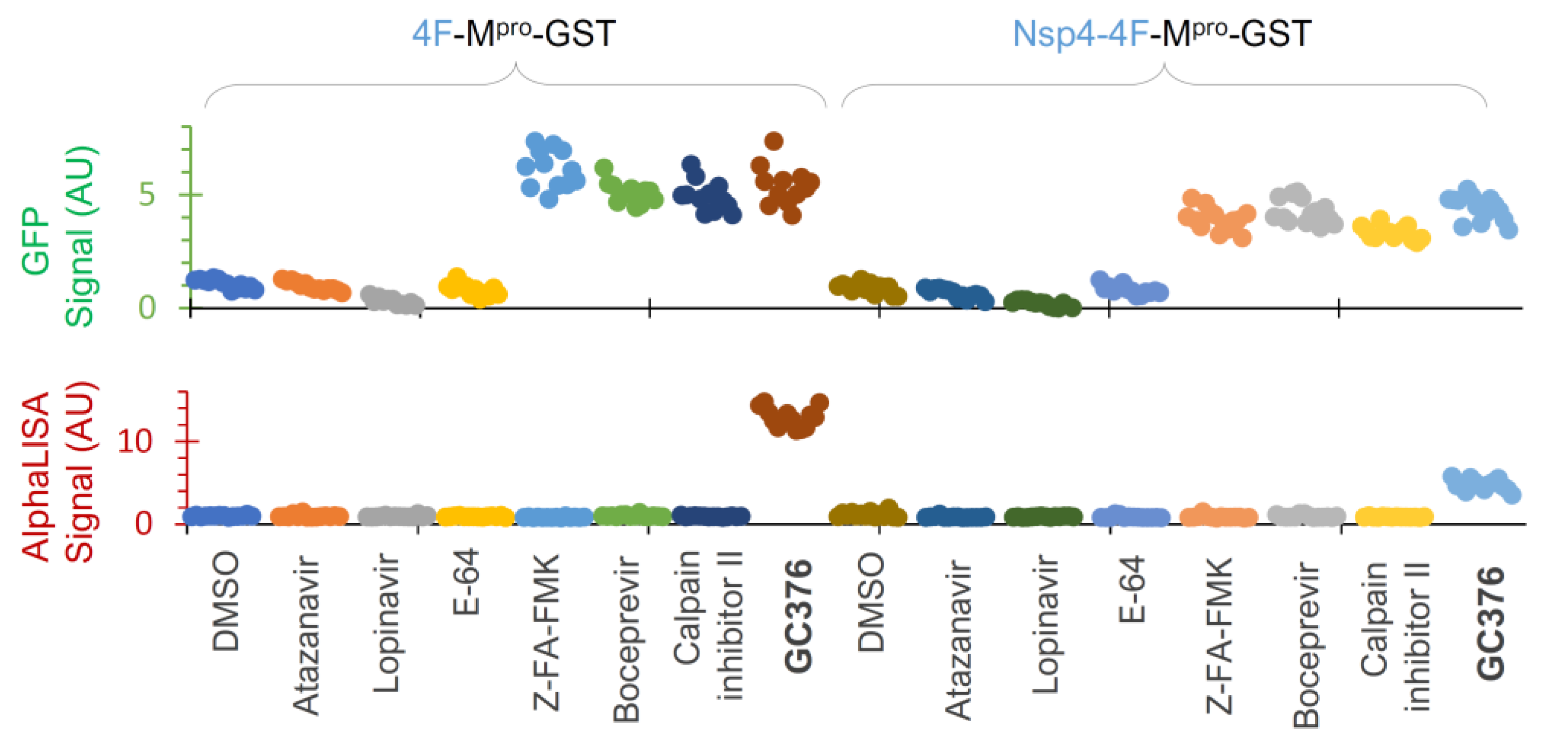 Viruses 16 01218 g007