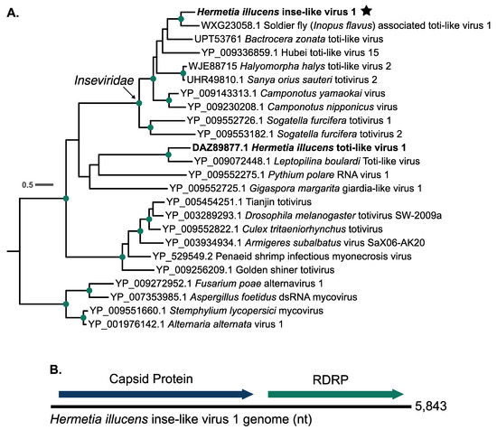 Viruses 16 01219 g002