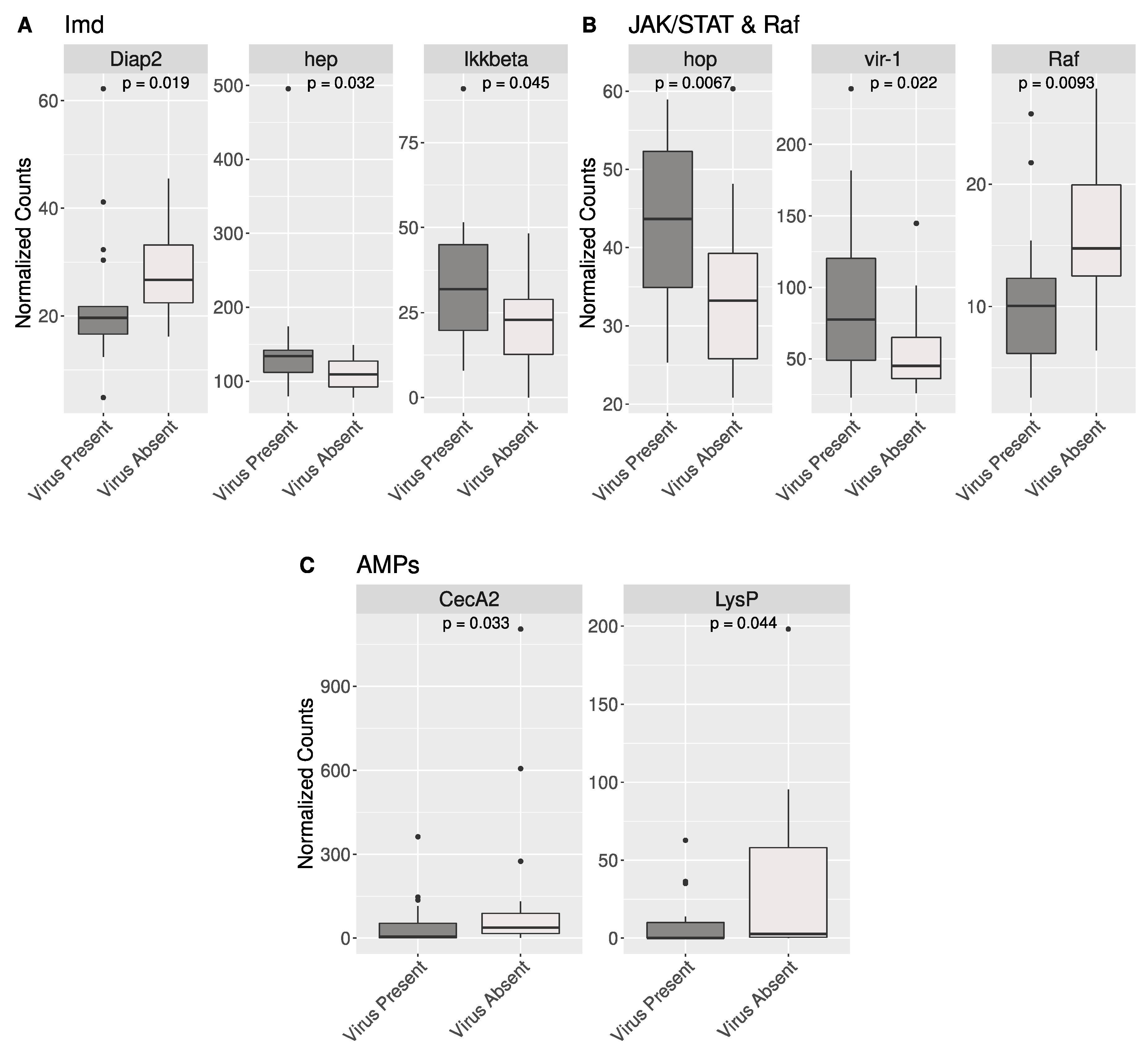 Viruses 16 01219 g004