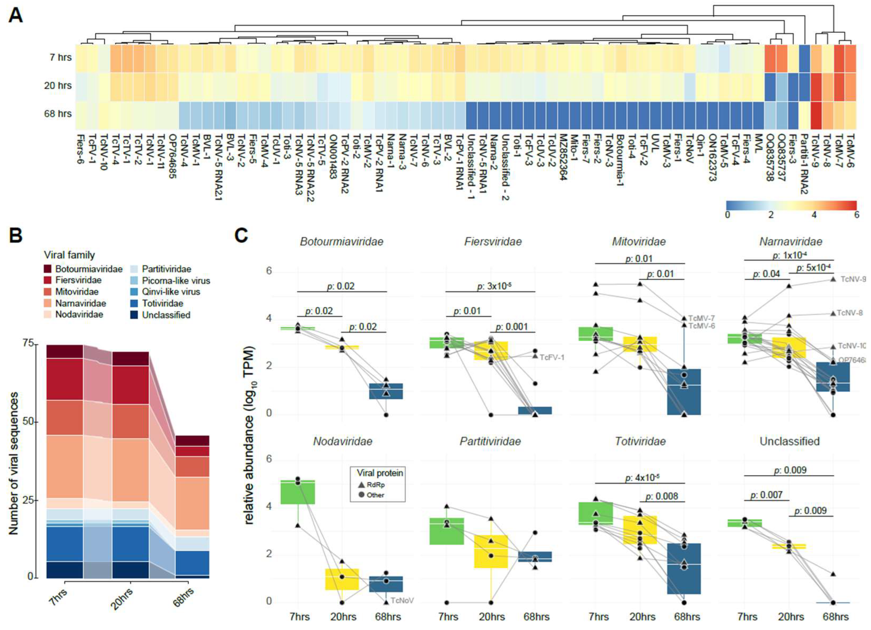 Viruses 16 01226 g003