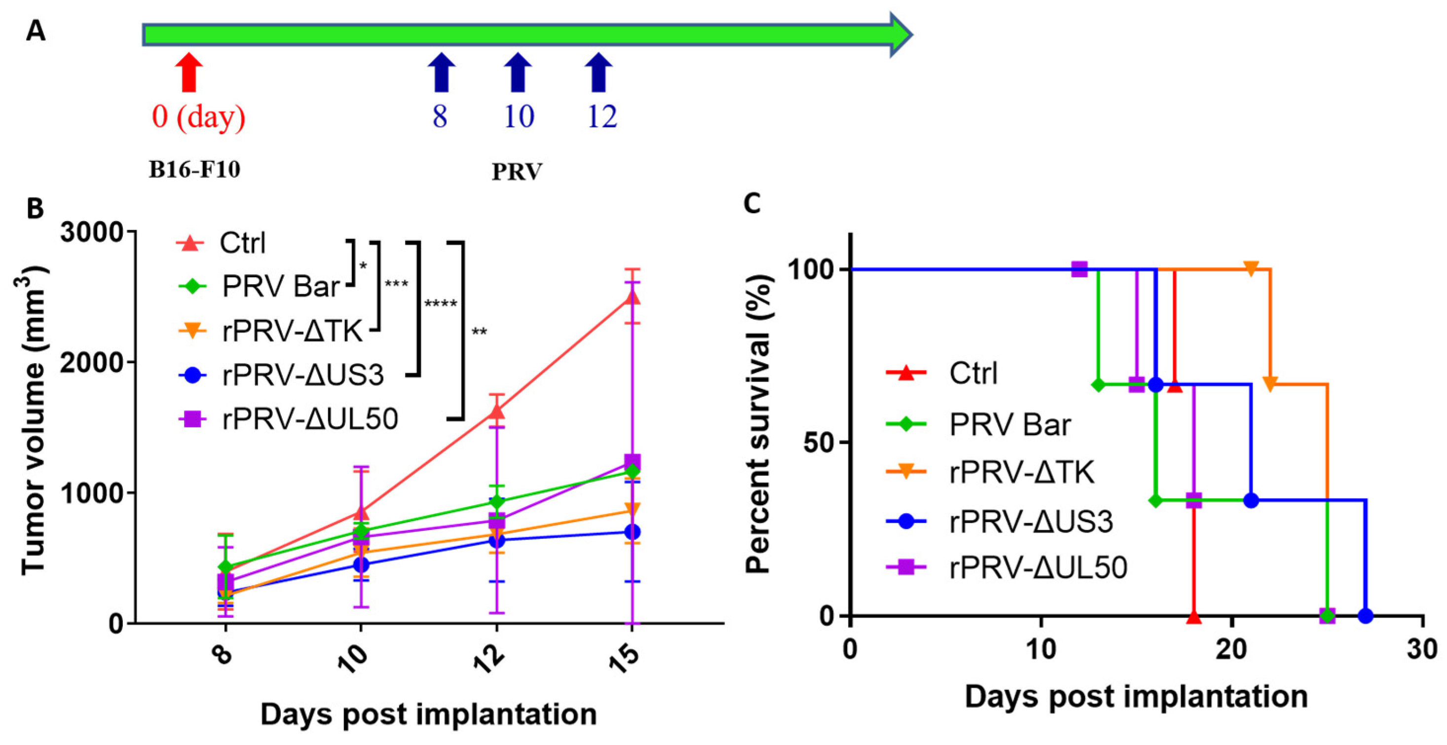 Viruses 16 01228 g002