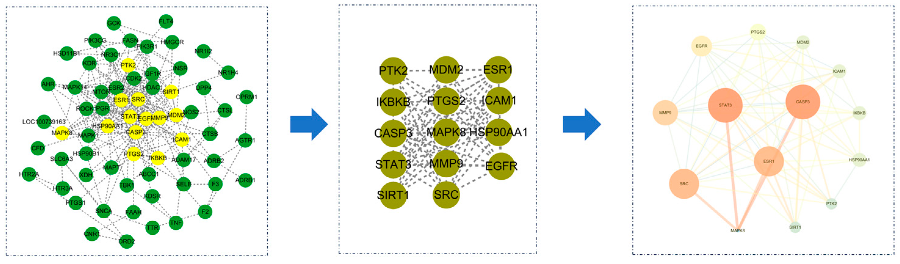 Viruses 16 01229 g003