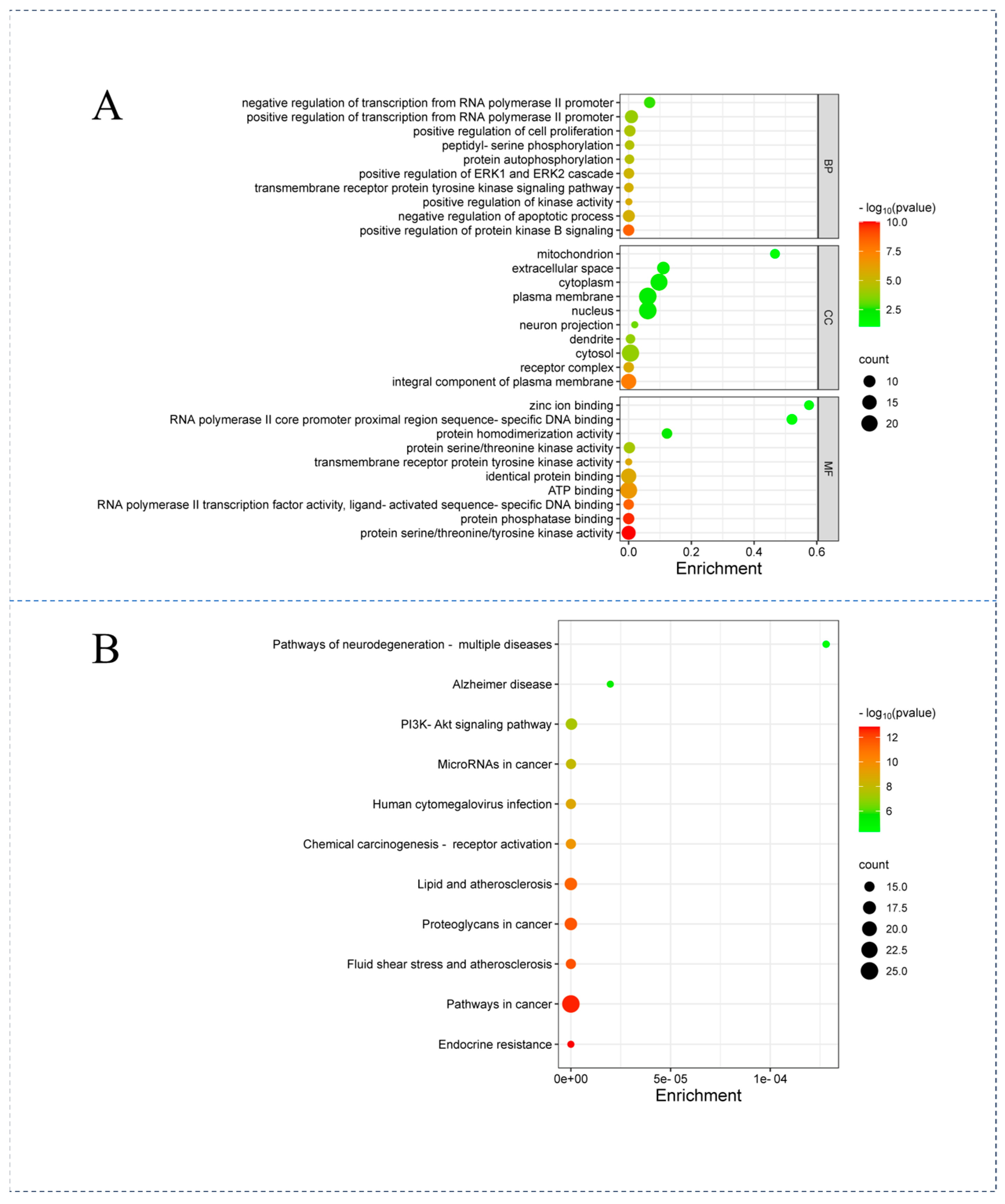 Viruses 16 01229 g004