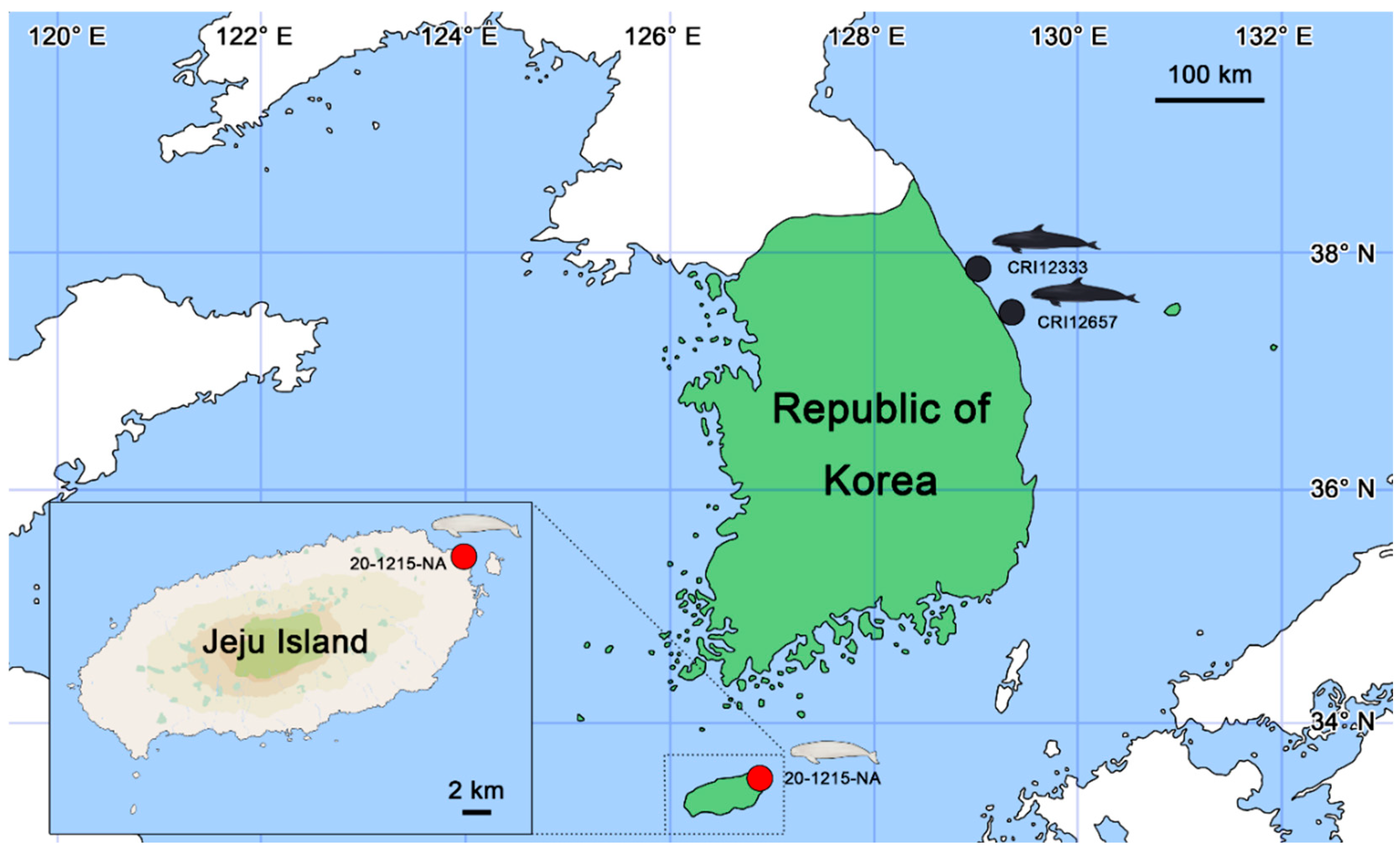 Viruses 16 01234 g001