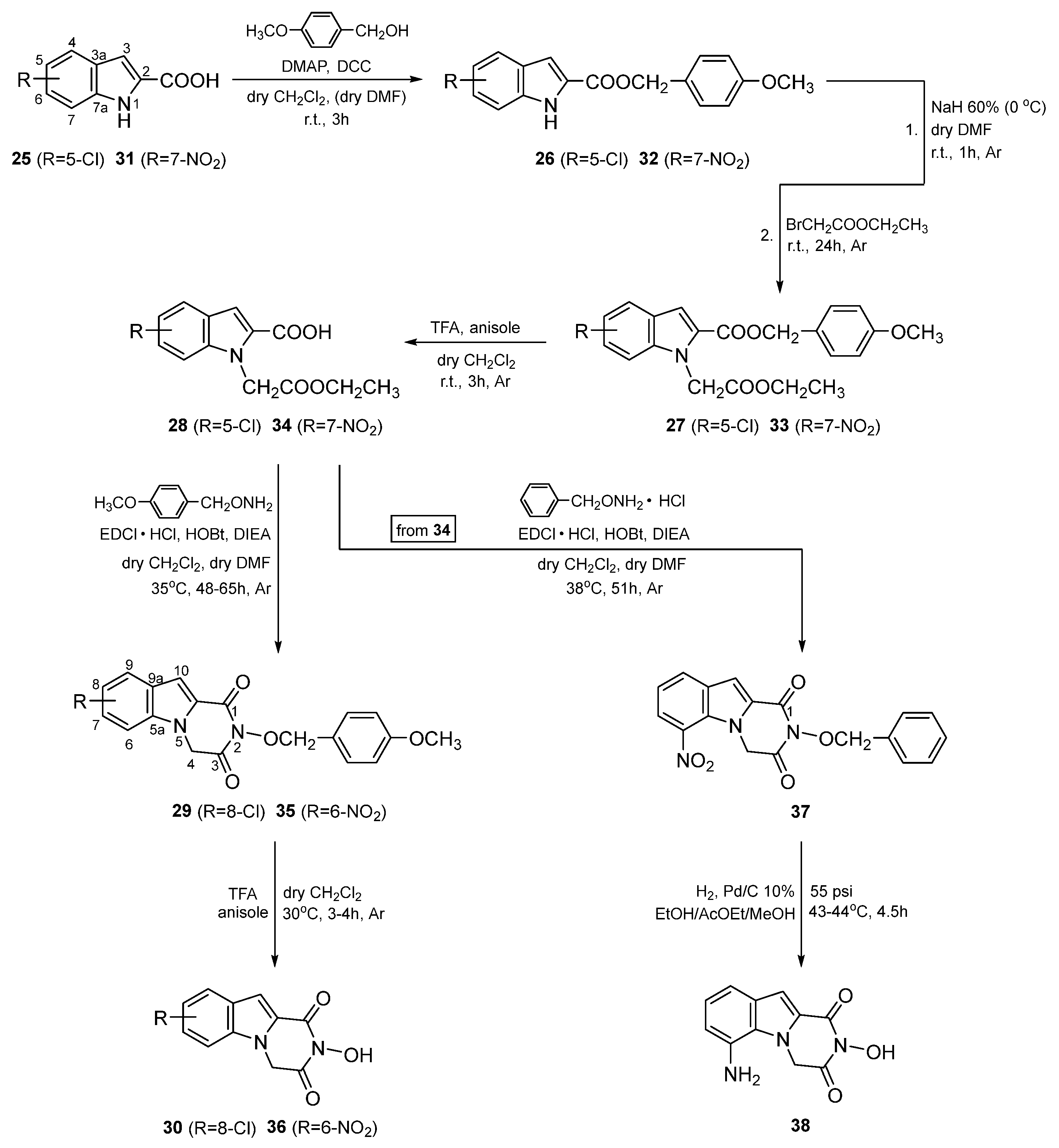 Viruses 16 01238 sch002