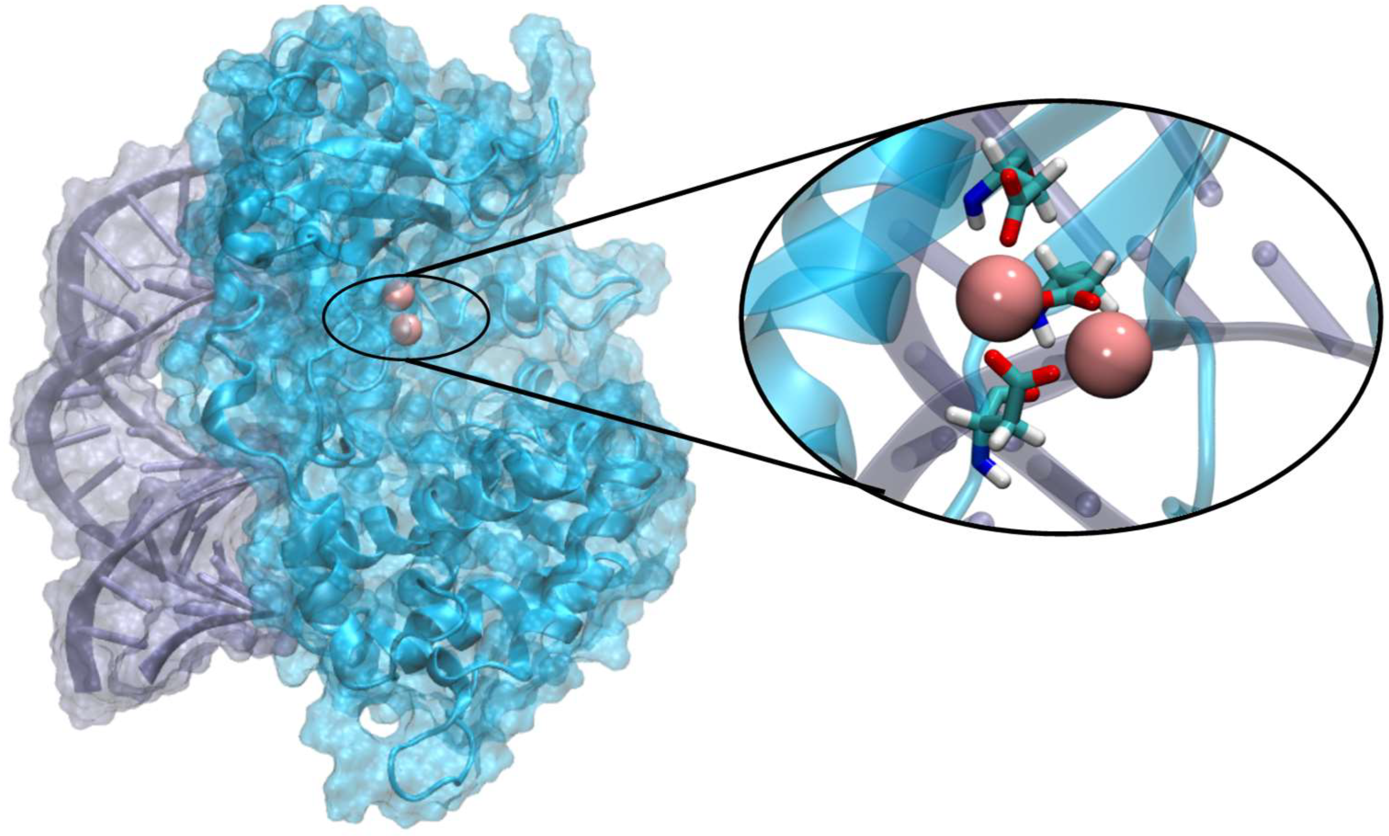 Viruses 16 01246 g001