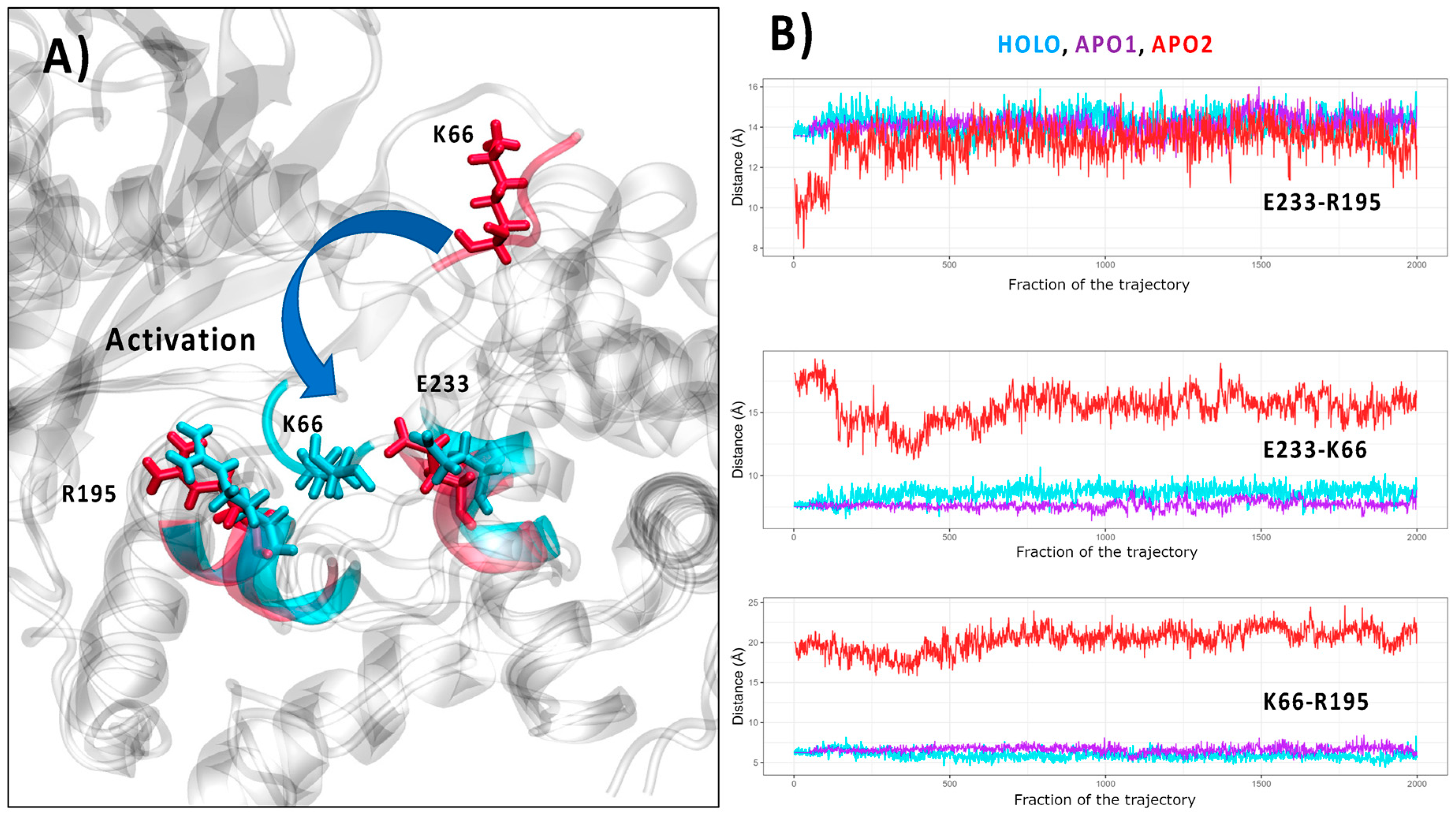 Viruses 16 01246 g003