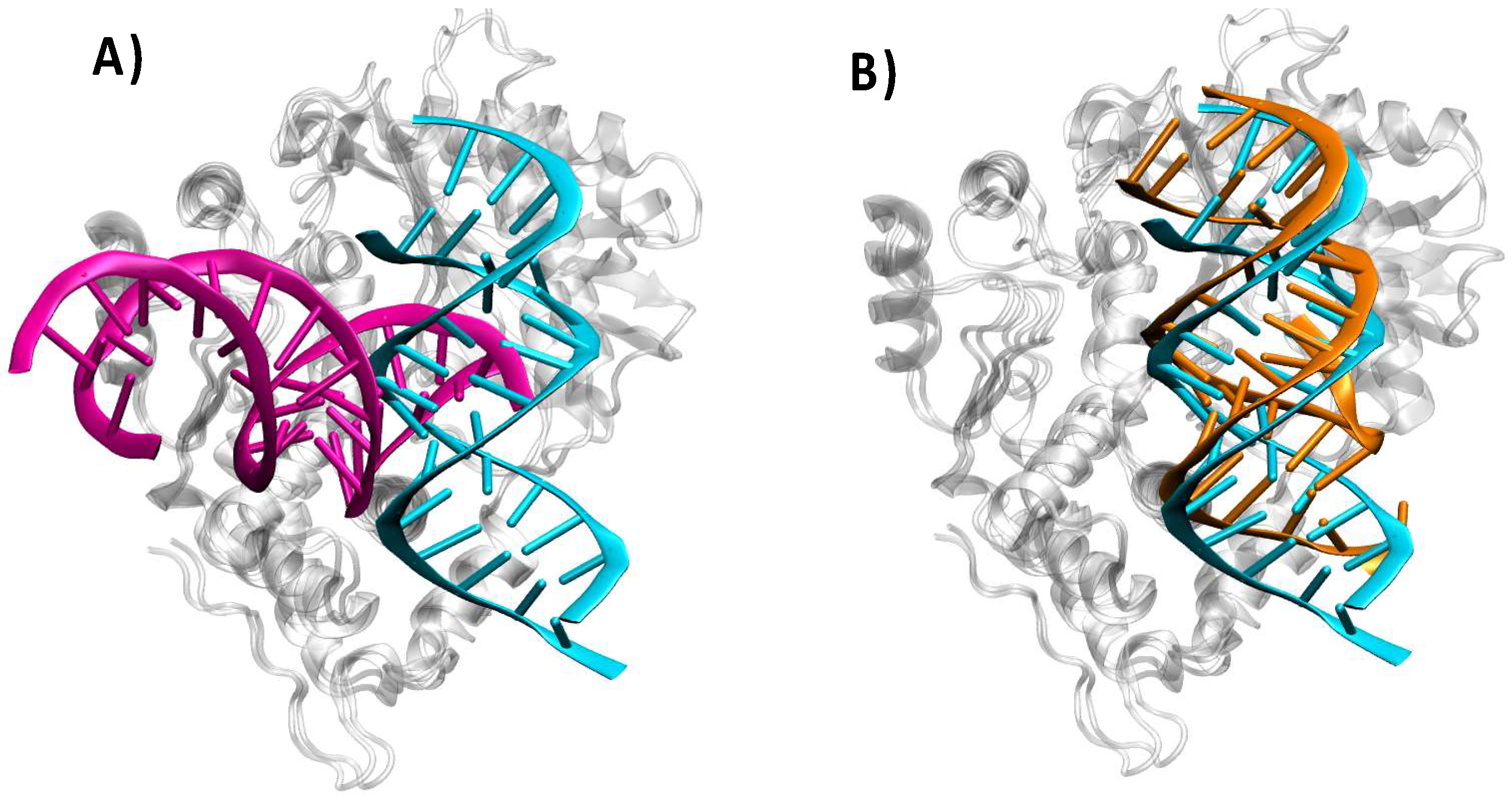 Viruses 16 01246 g006