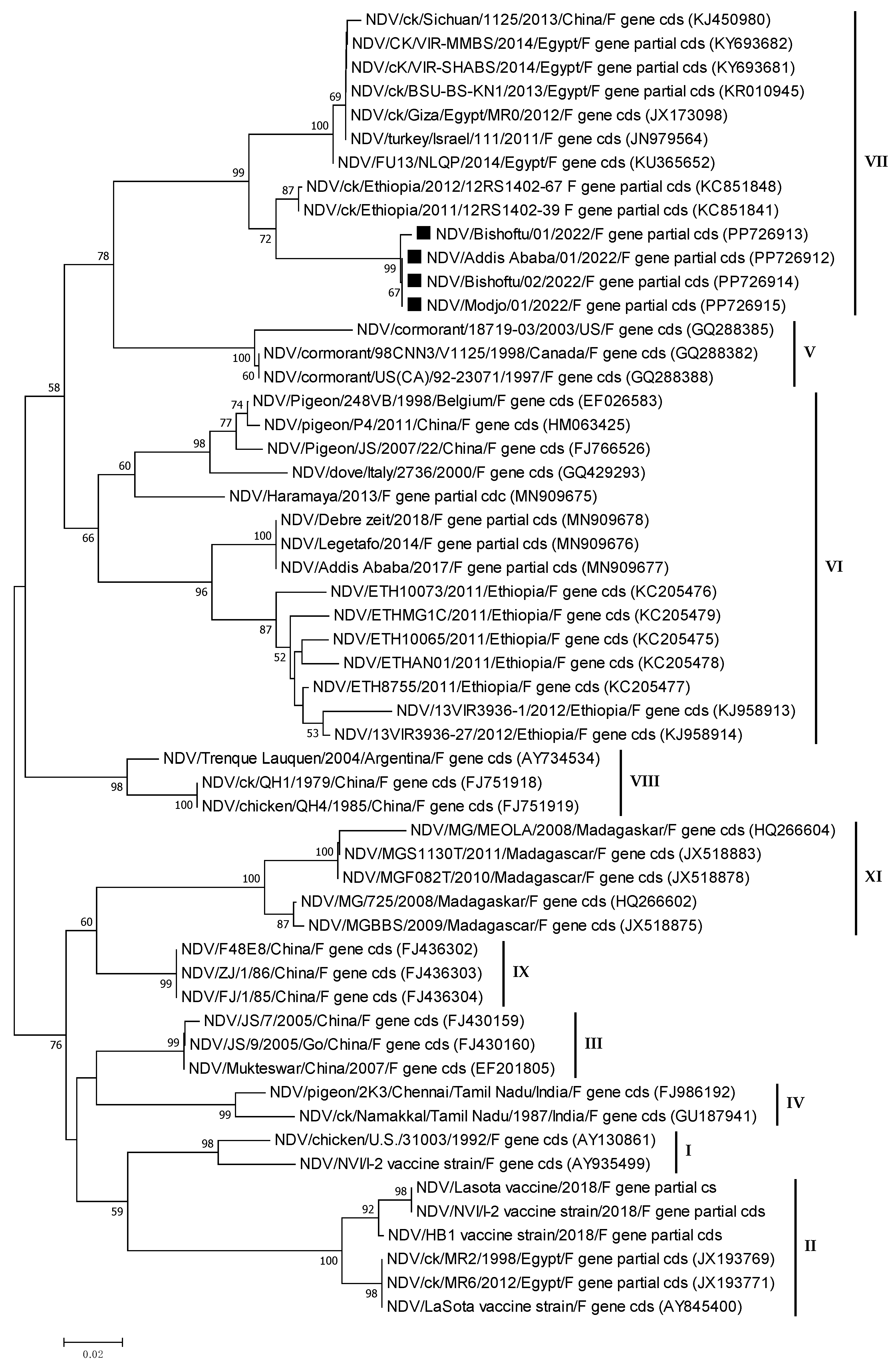 Viruses 16 01249 g006 Viruses 16 01249 g006