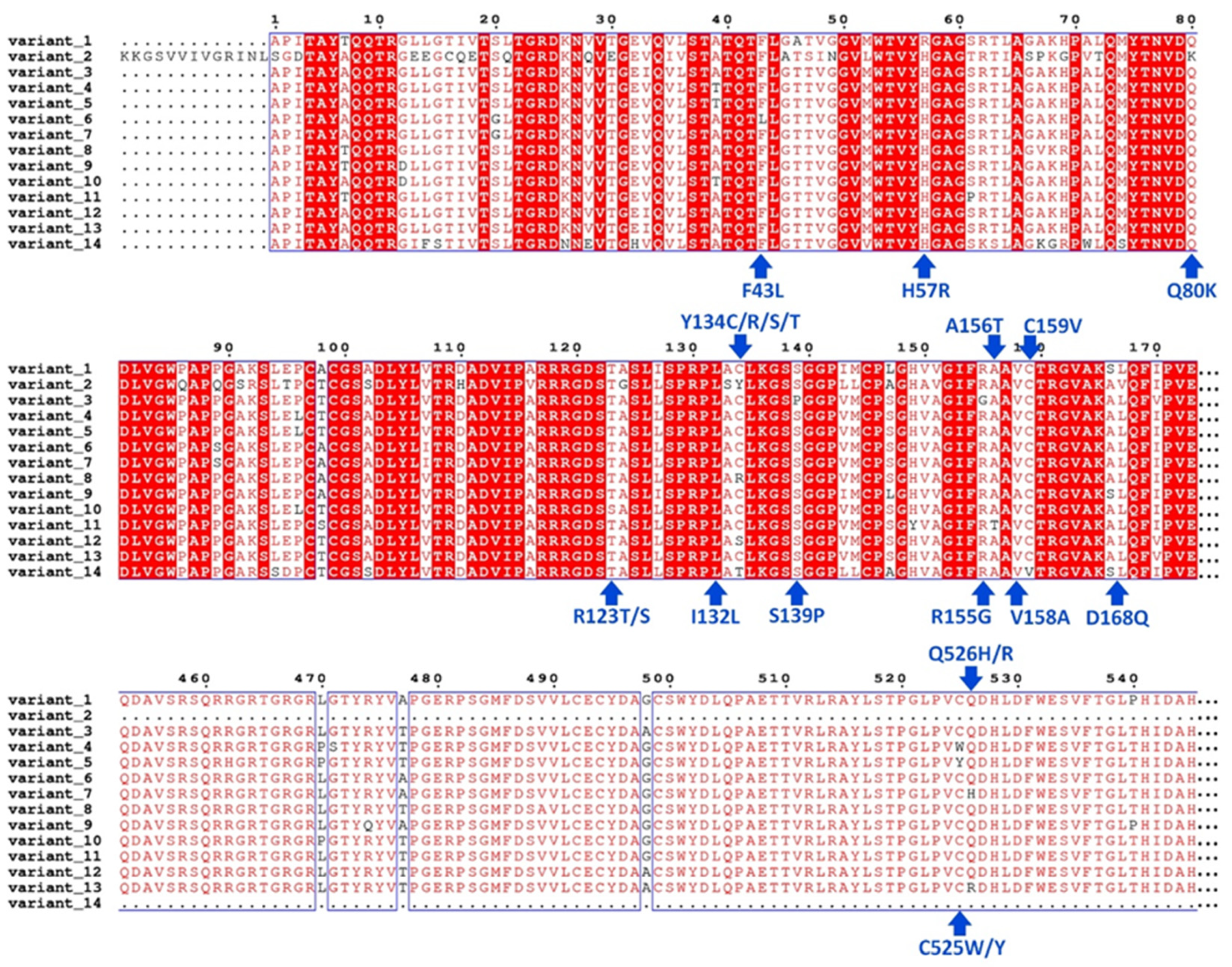 Viruses 16 01250 g002 Viruses 16 01250 g002